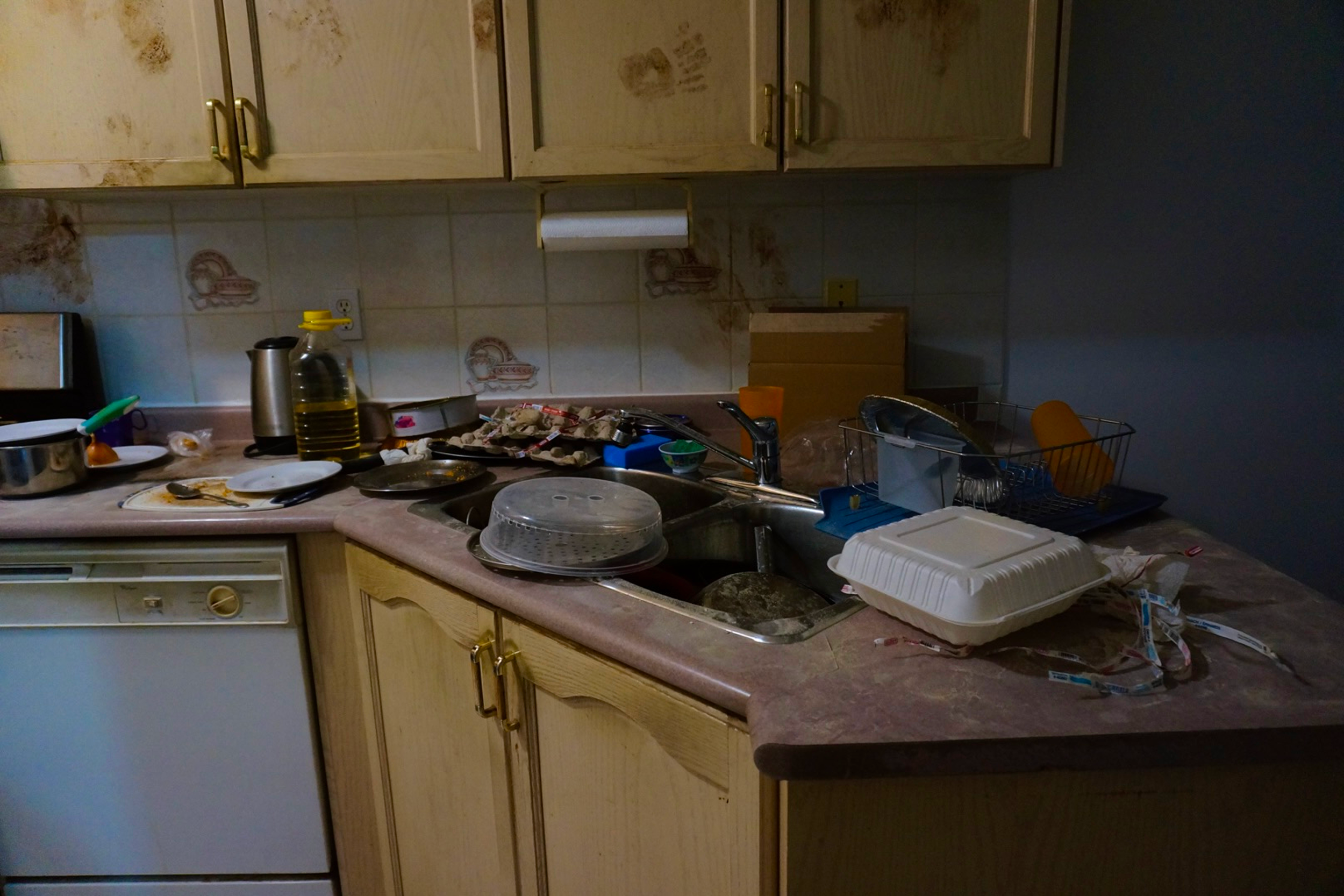 76192C02-A530-4241-8EA6-AB1686198F15_1_201_a 2.png