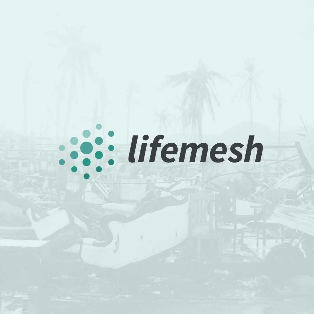 Lifemesh.jpg