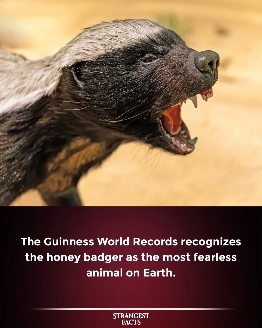 New Year’s Resolution“The Law of Identity”