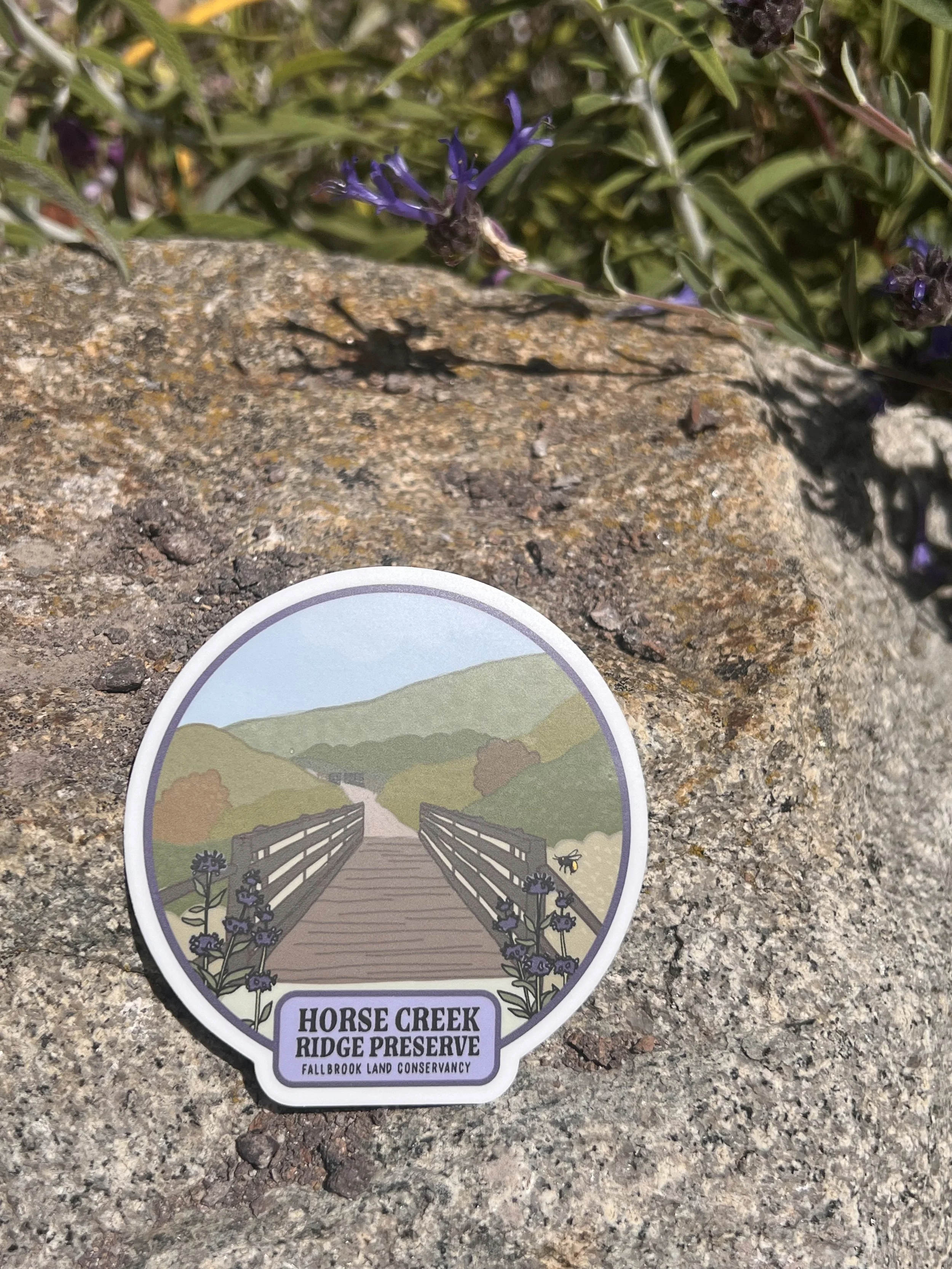 Horse Creek.jpeg