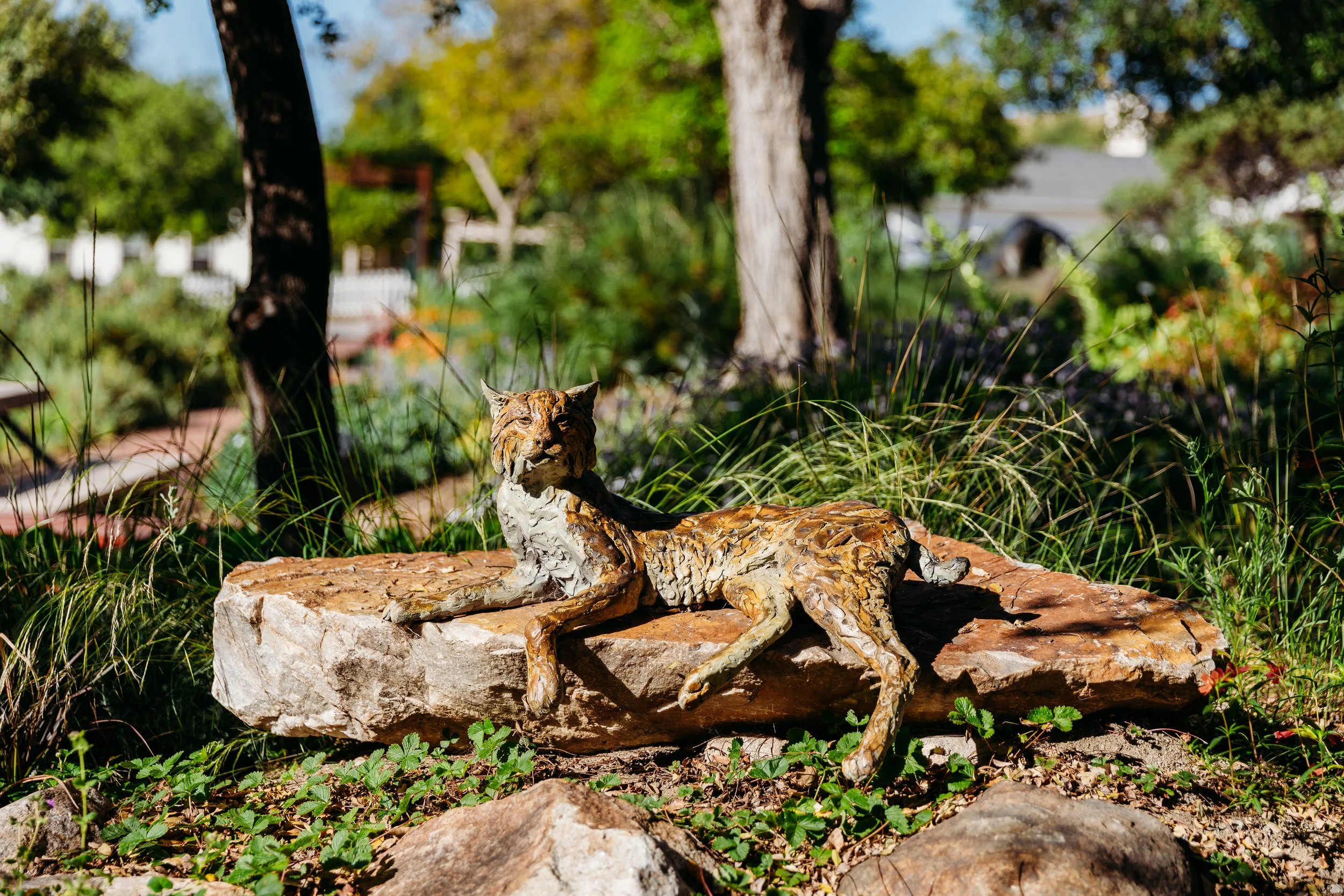 A bronze sculpture of a reclining tiger on a large flat rock in a garden with trees and grass.
