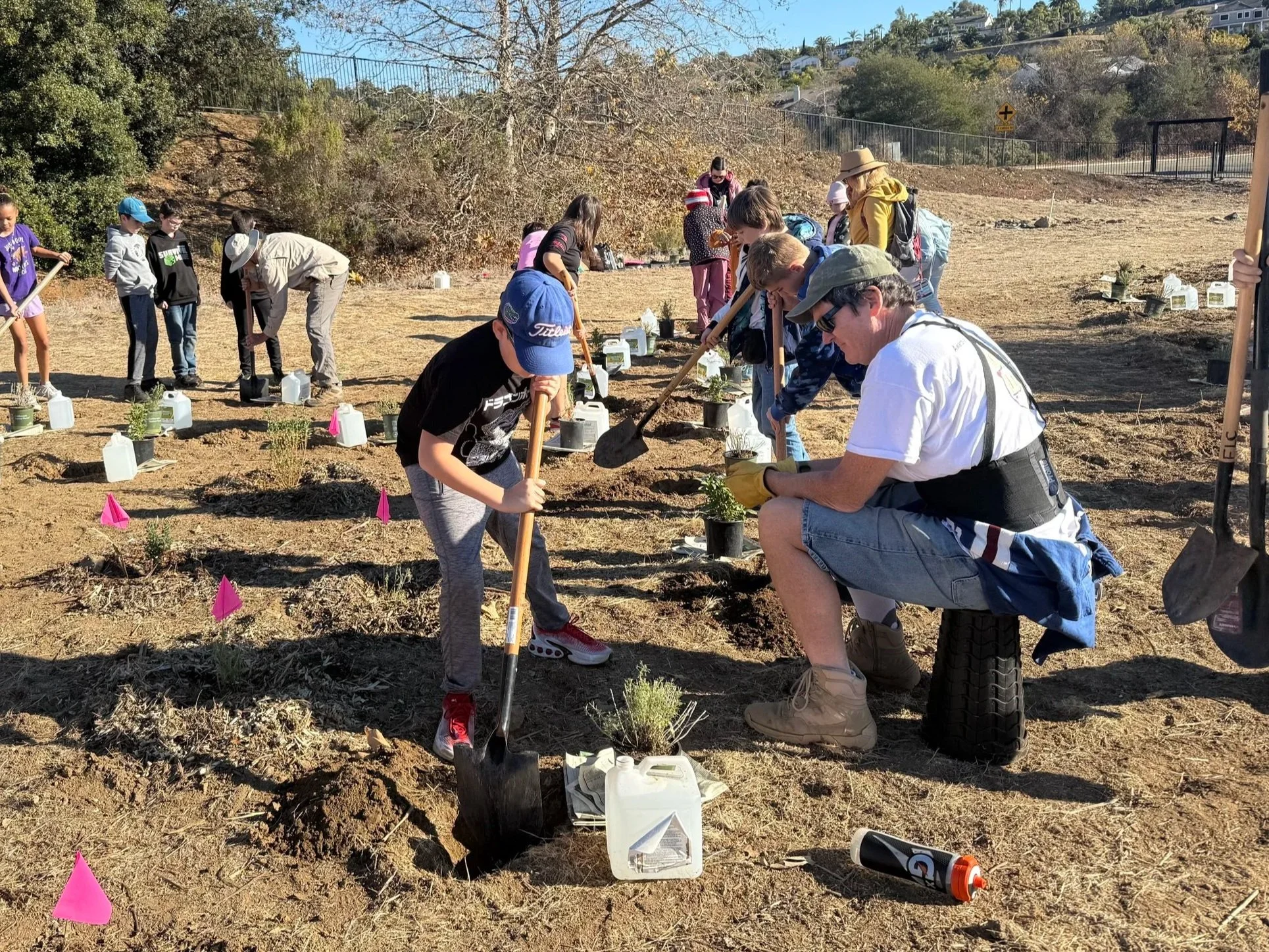 Group of people planting small plants in a sunny, open area with soil and pink flags marking planting spots.