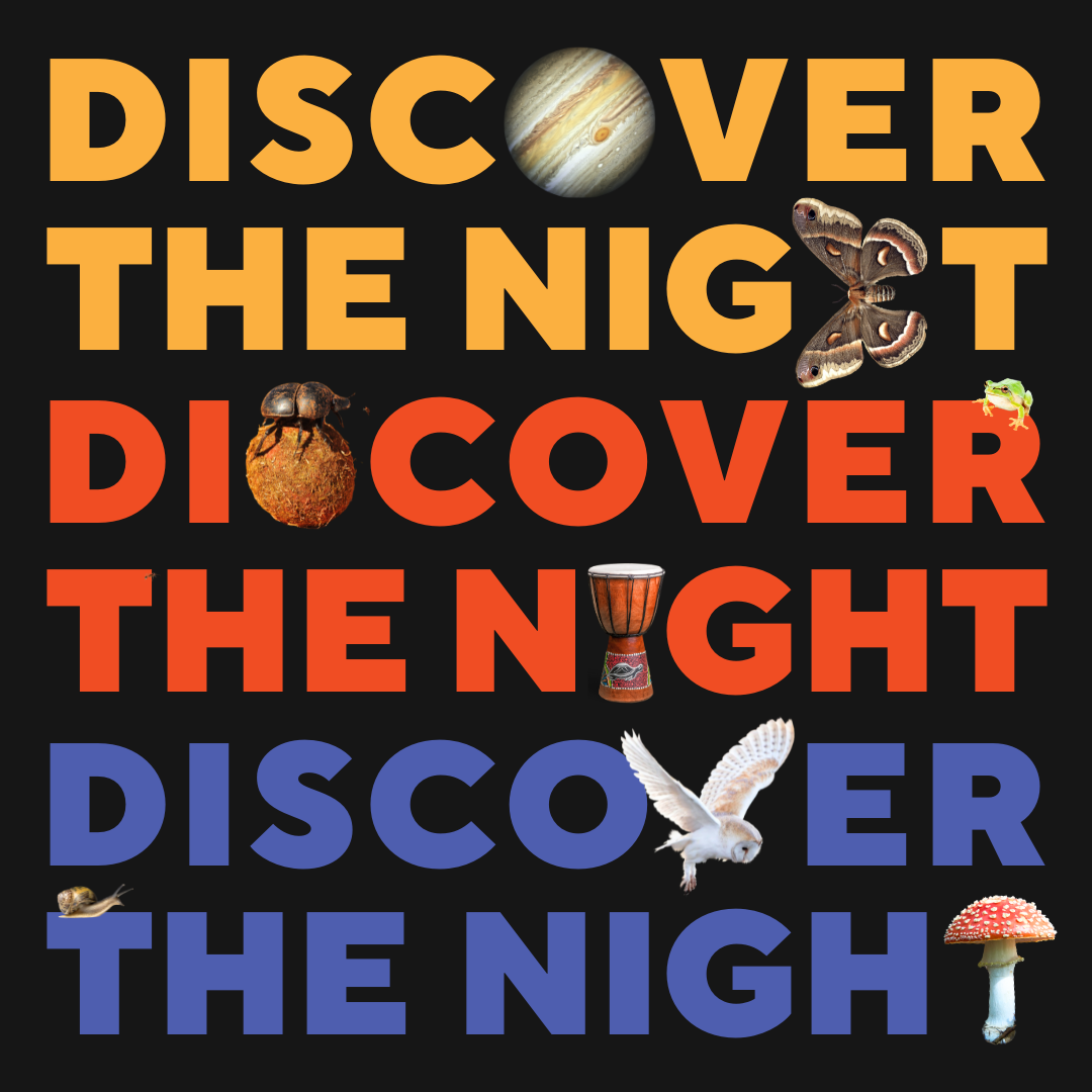 International Dark Sky Week