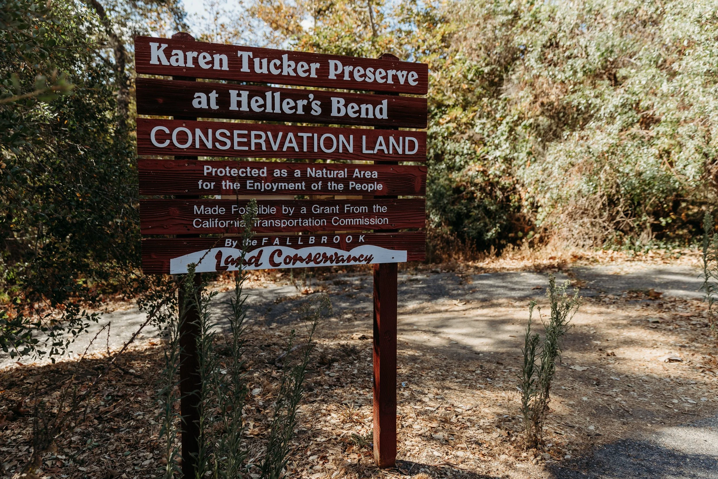 Hike @ Heller's Bend
