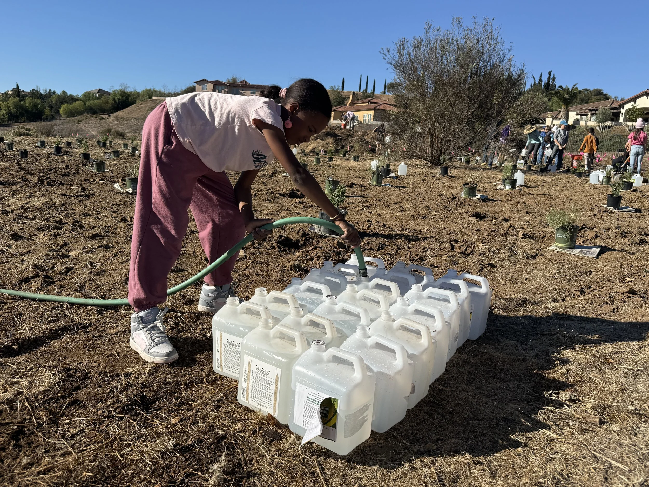 A young girl watering plants in a large outdoor area with other people planting in the background, using multiple gallon-sized watering containers.