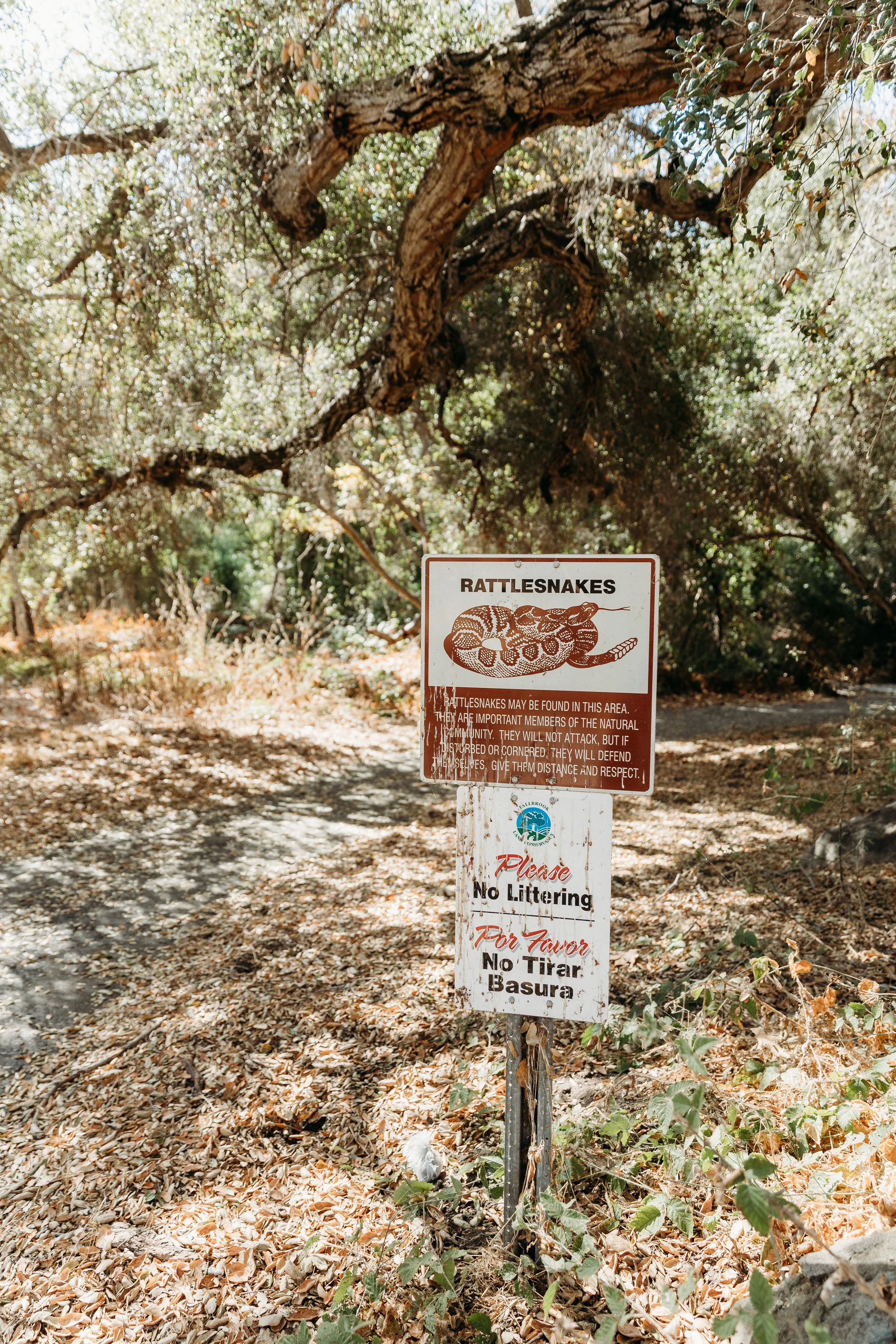 Sign on a wooded trail warning about rattlesnakes, with instructions to respect their space and avoid littering or trashing.