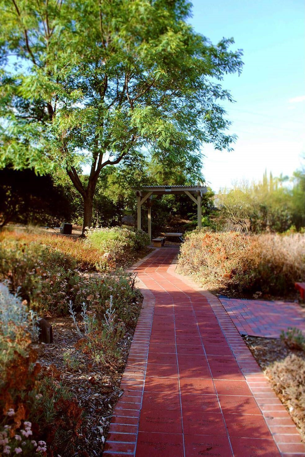 A brick pathway winding through a garden with shrubs and flowers, leading to a wooden arbor under a large green tree in a sunny outdoor setting.