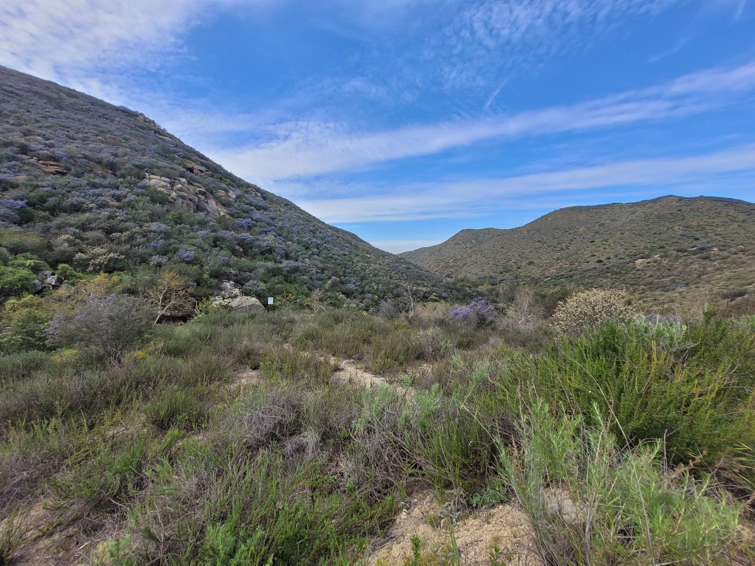 A mountain landscape with green and purple bushes, clear blue sky, and rolling hills.