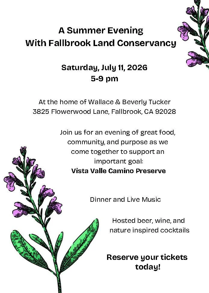 A Summer Evening Dinner Ticket