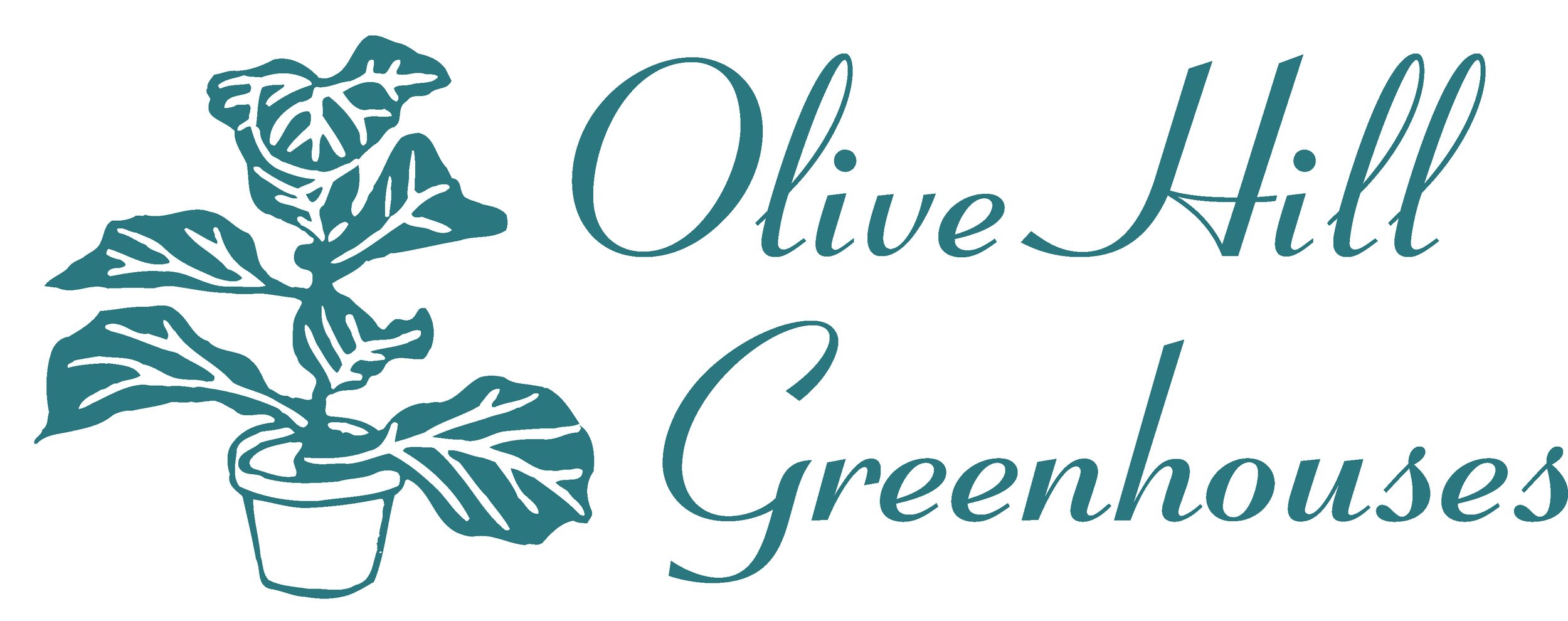 Logo with an illustration of a potted green plant on the left and the text 'Olive Hill Greenhouses' on the right.
