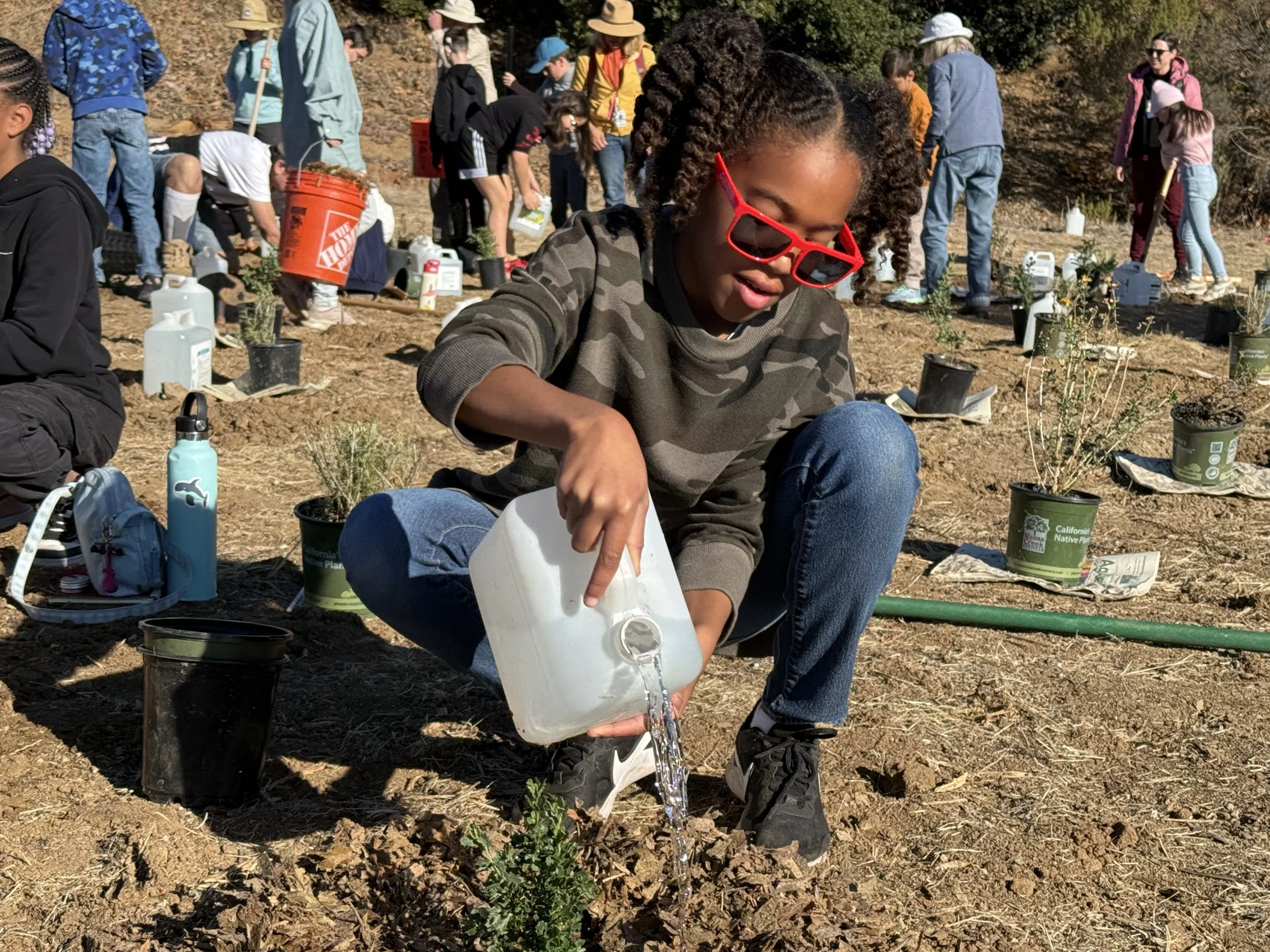 A girl with red sunglasses watering a small plant in a garden with many people working on planting in the background.