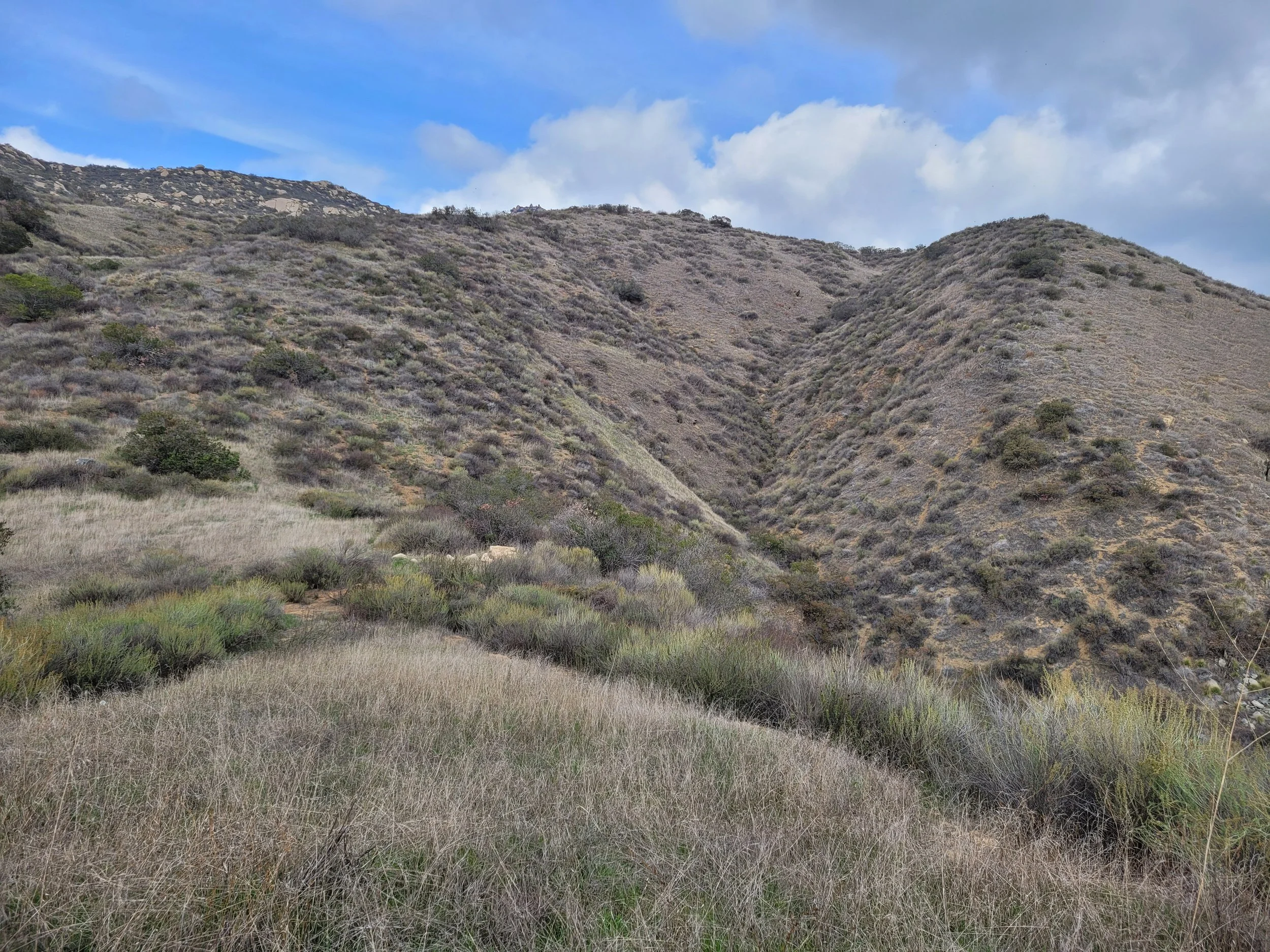 A dry, shrub-covered hillside with a small valley or ravine in the center, under a blue sky with some clouds.