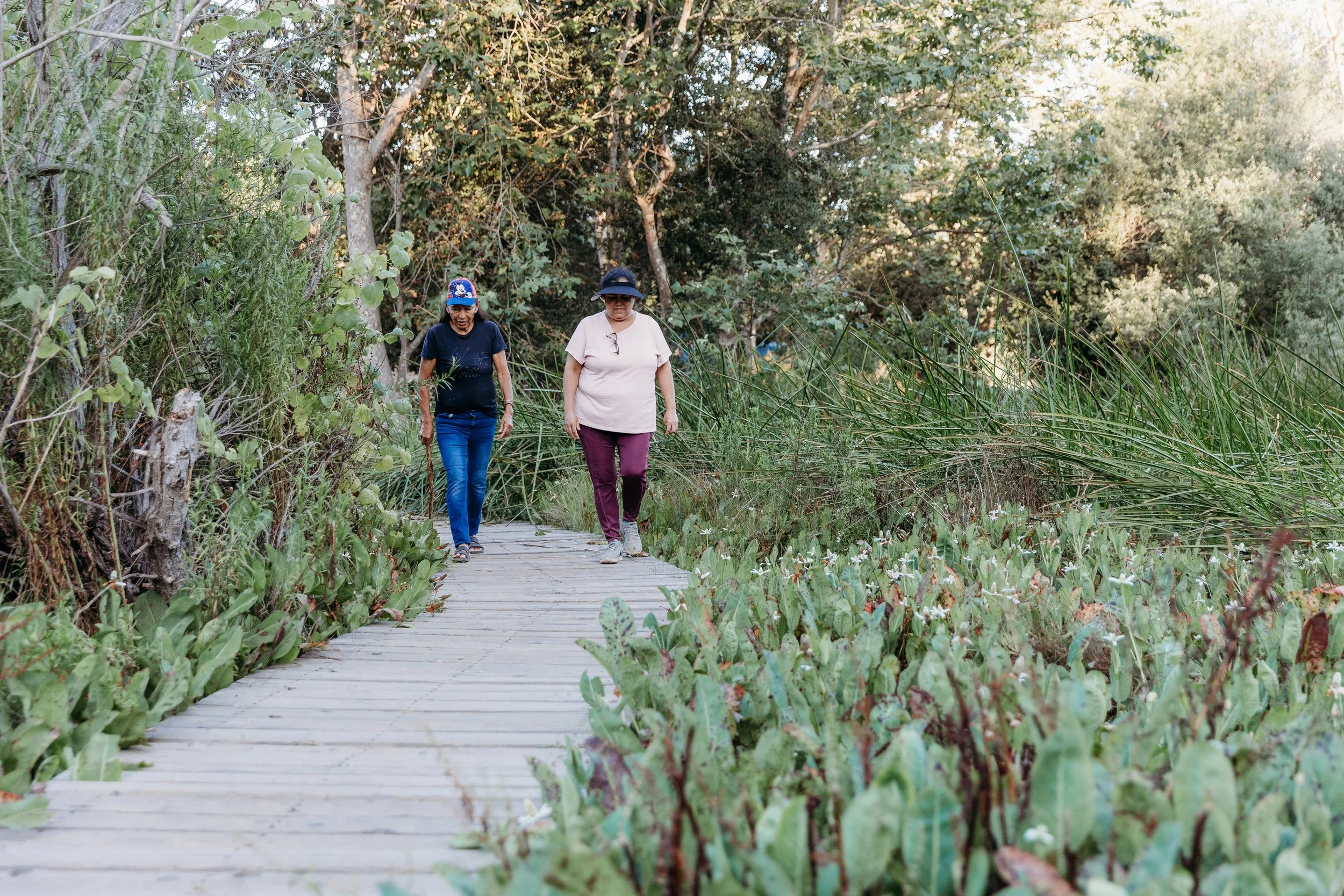 Two women walking on the Los Jilgueros Preserve wooden boardwalk through a lush, green wetland area with tall grasses and trees surrounding them.