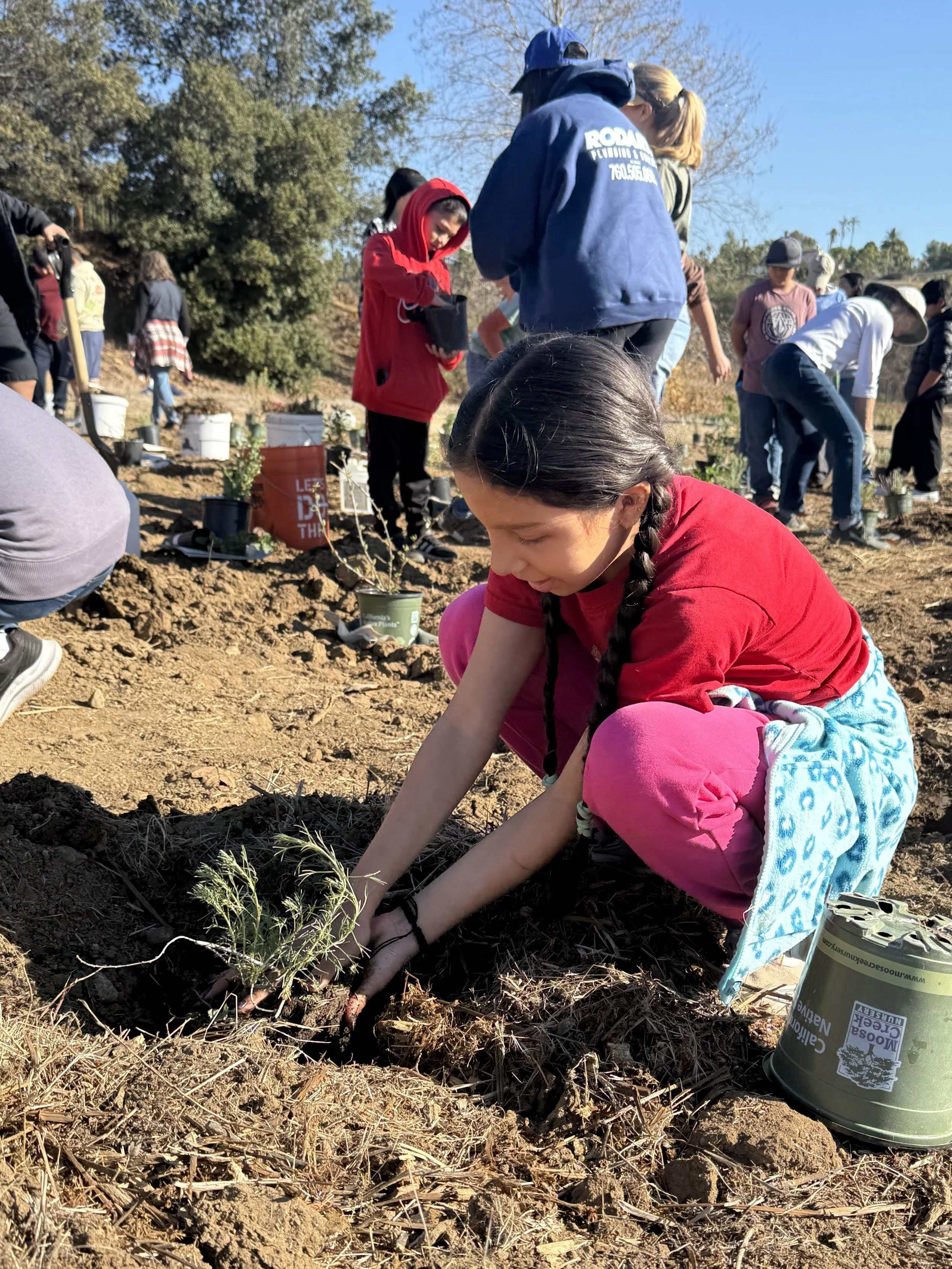 A young girl planting a small tree in the soil during a community tree-planting event, surrounded by other volunteers.