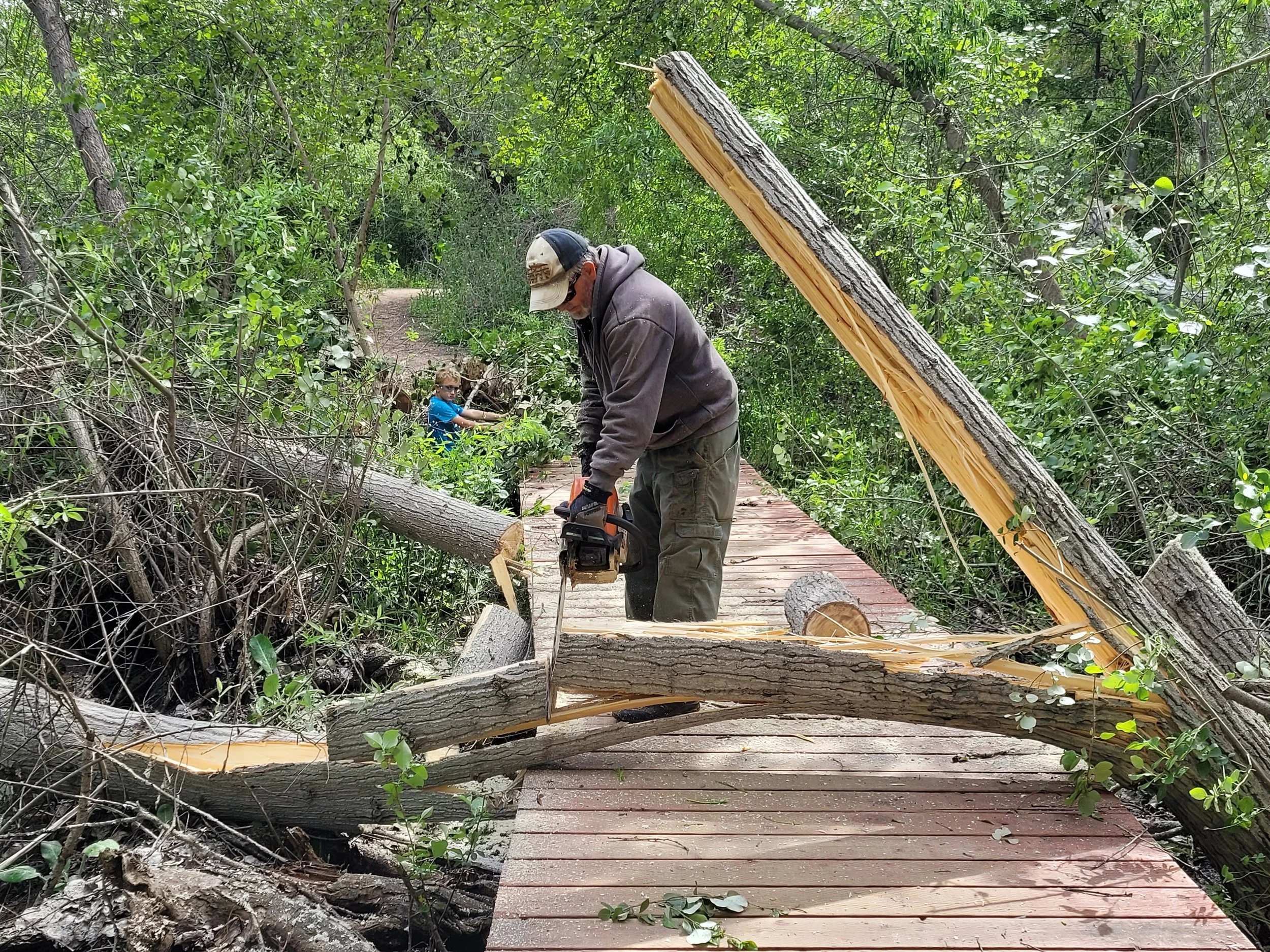 A person cutting fallen trees on a wooden bridge with a chainsaw in a forest, with a child wearing sunglasses in the background.