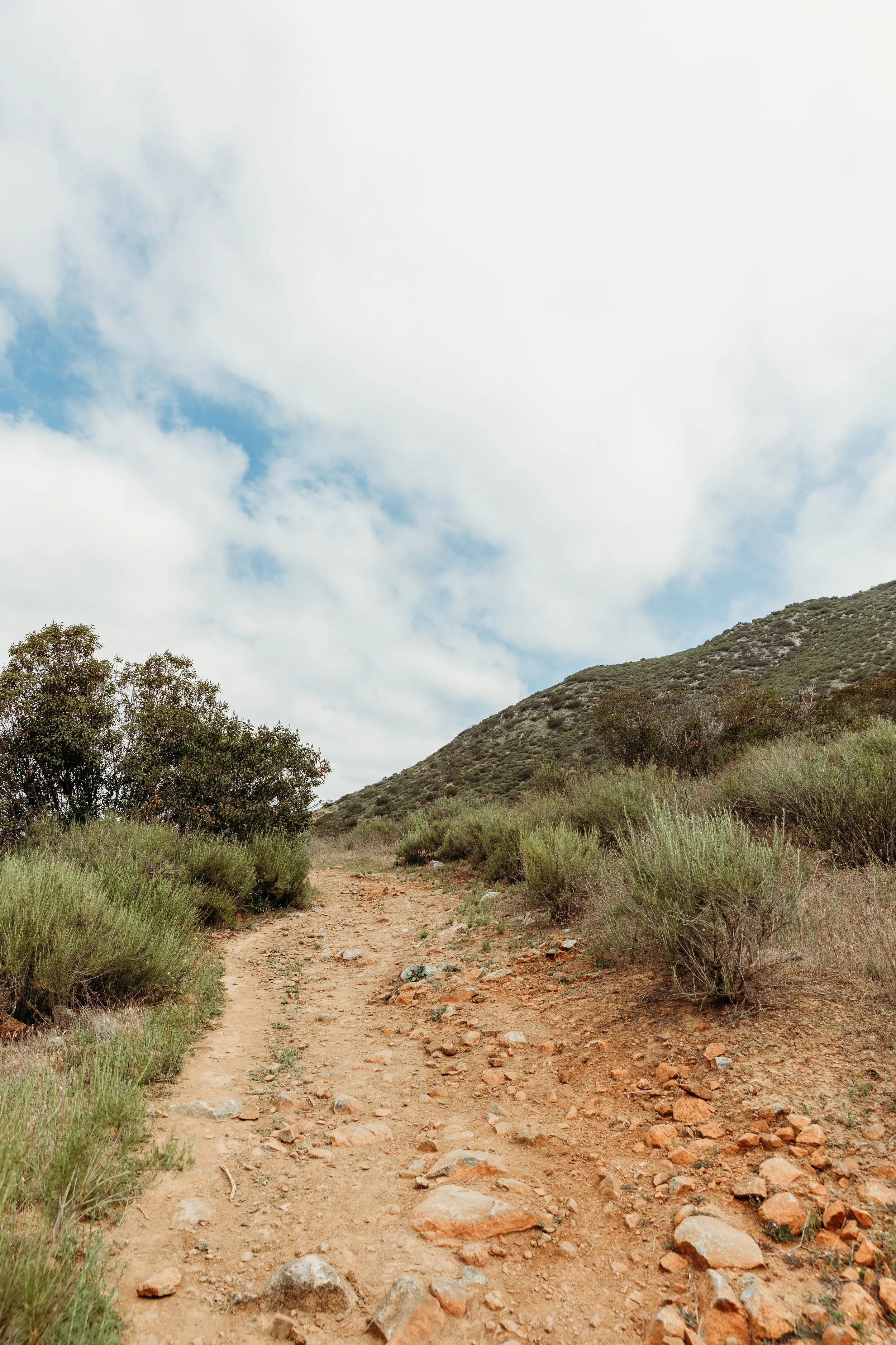 A dirt trail at Horse Creek Ridge Preserve on a hillside with green shrubs and bushes on either side under a partly cloudy sky.