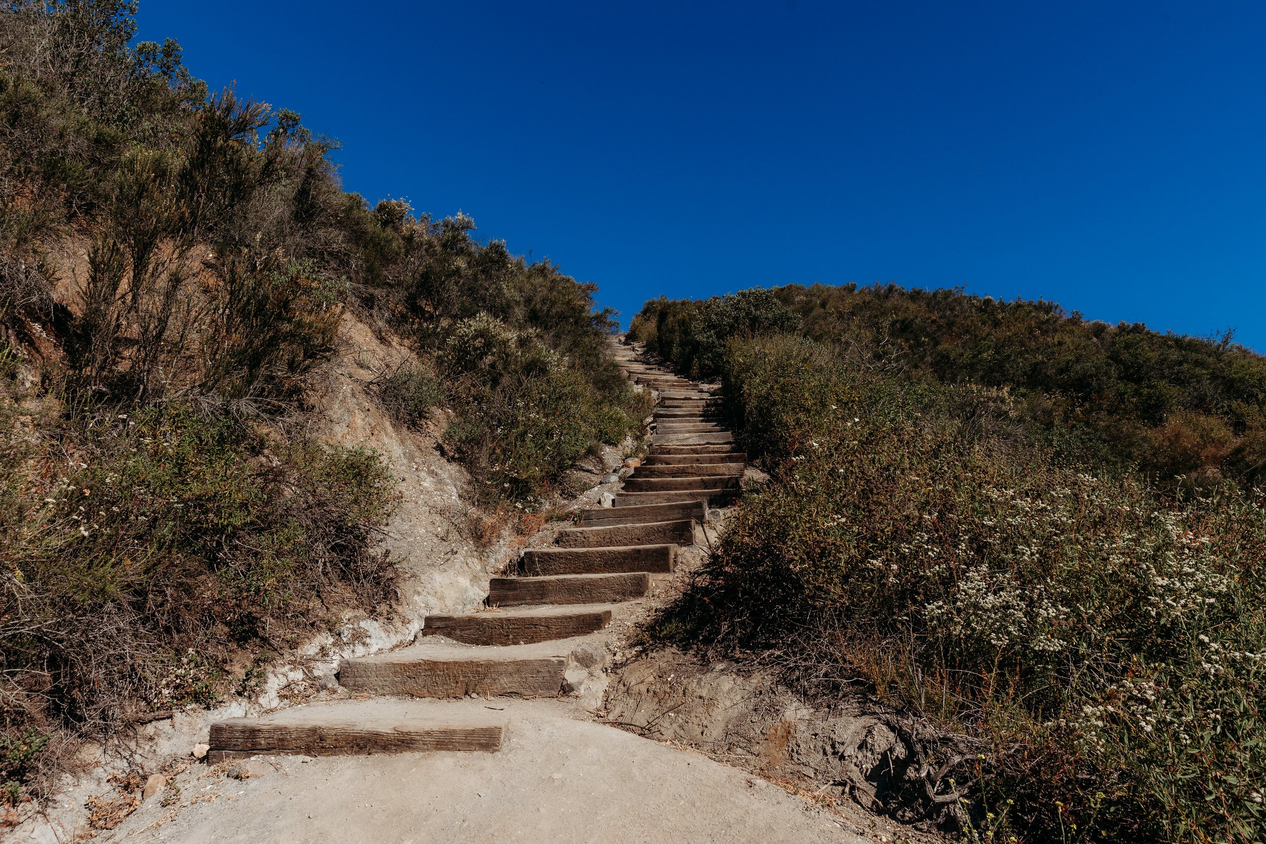 Wooden steps at Monserate Mountain ascending a dirt trail on a hillside with bushes, under a clear blue sky.