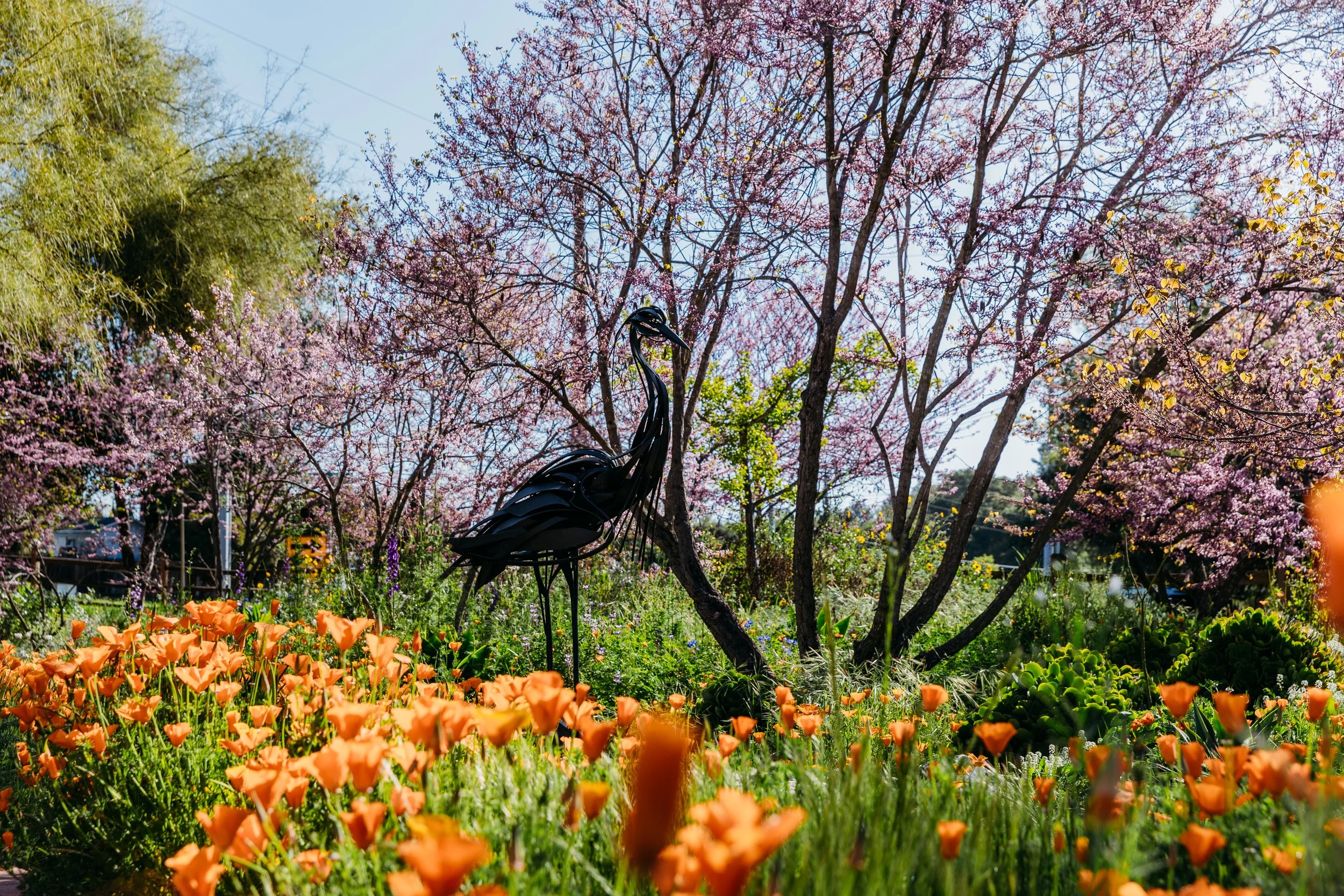 A garden scene with blooming pink cherry blossom trees, orange poppies in the foreground, and a black metal bird sculpture among the flowers.