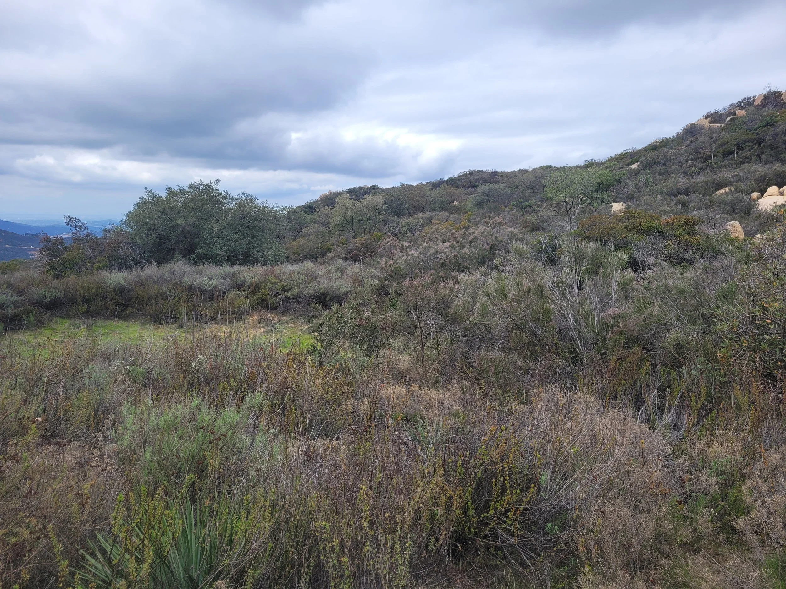A landscape of rolling hills with a mix of green and brown shrubbery, trees, rocks, and an overcast sky.