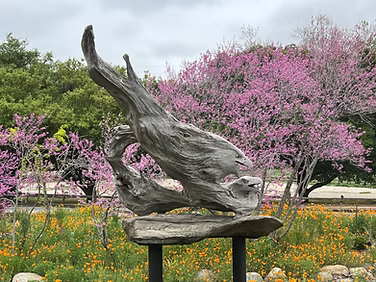 A wooden sculpture resembling a stretching animal placed on a stand, with pink blossoming trees and yellow flowers in the background.