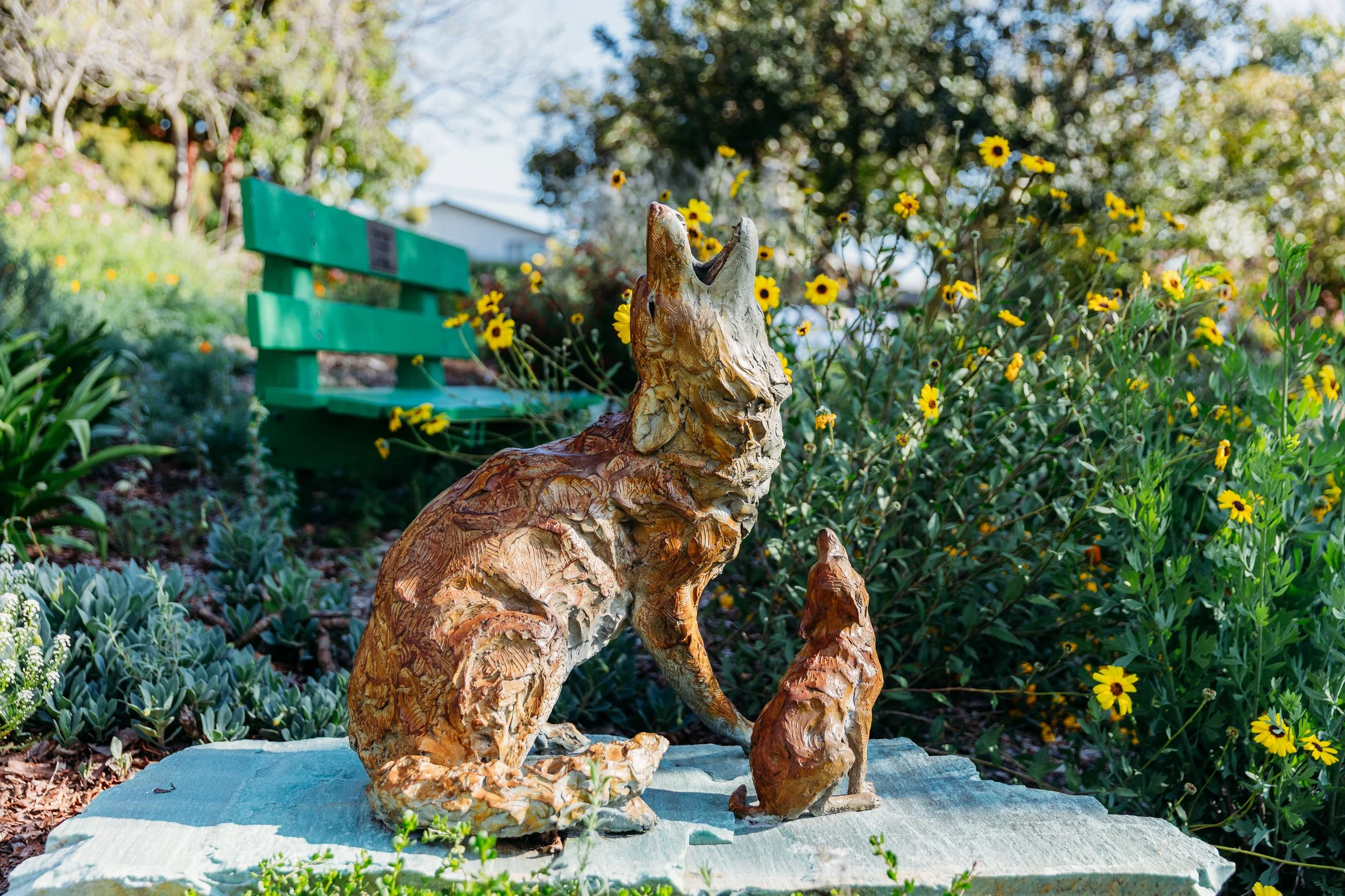 Wooden wolf sculpture howling at a smaller wolf sculpture in a garden with yellow flowers and green foliage, with a green park bench in the background.