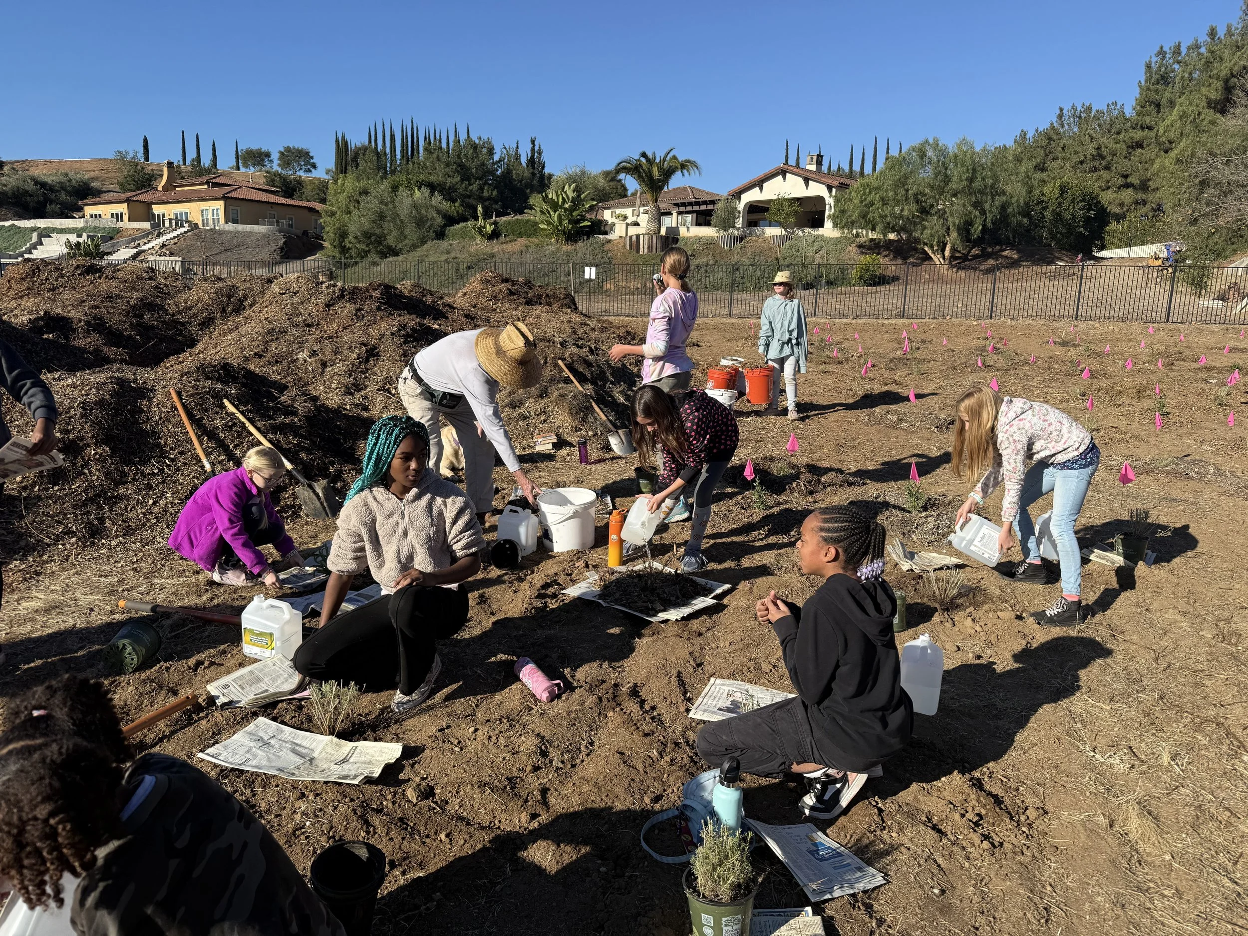 Group of people planting small plants in a garden with pink flags, soil, and gardening tools on a sunny day.