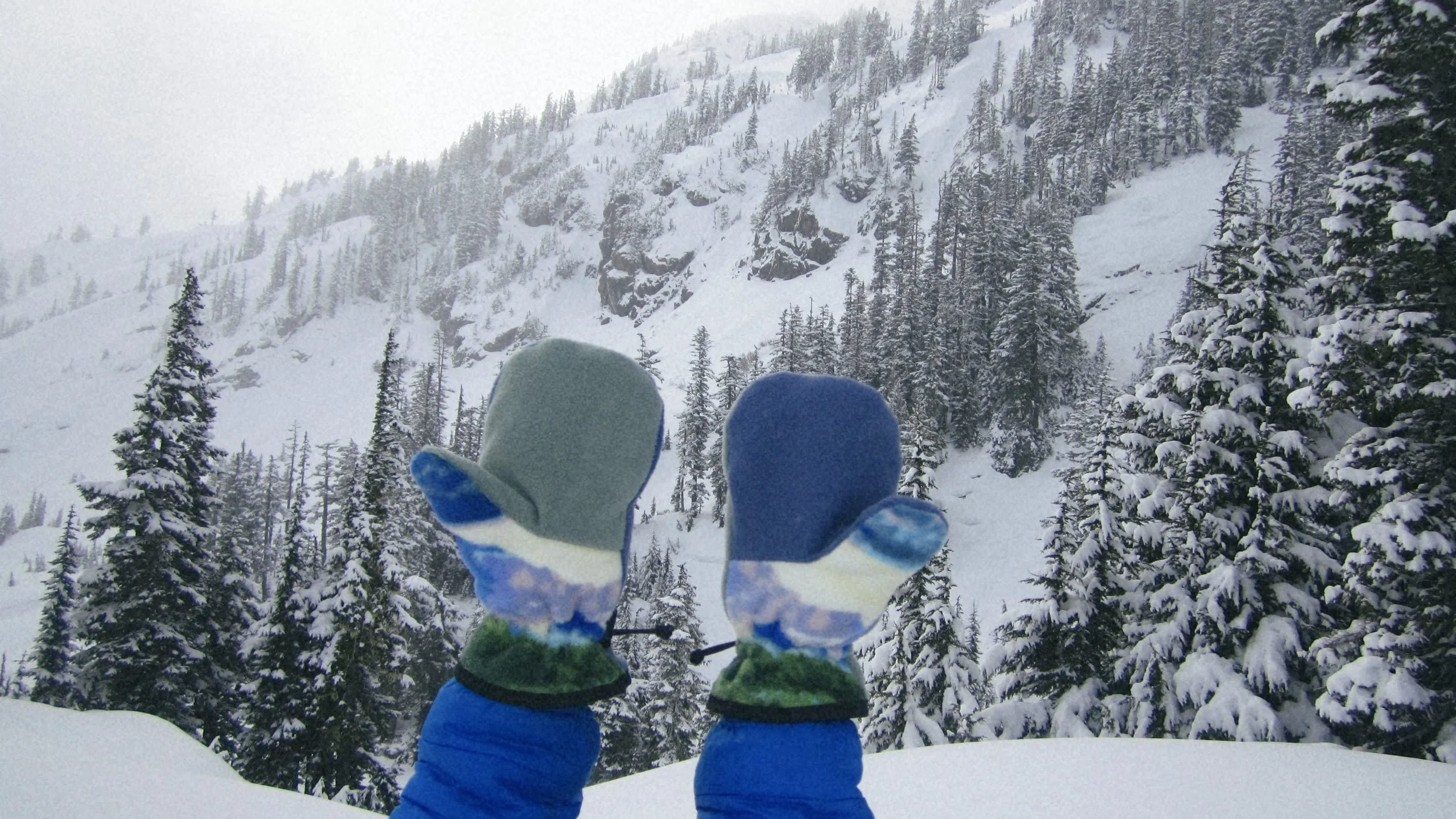 Mountains Mittens