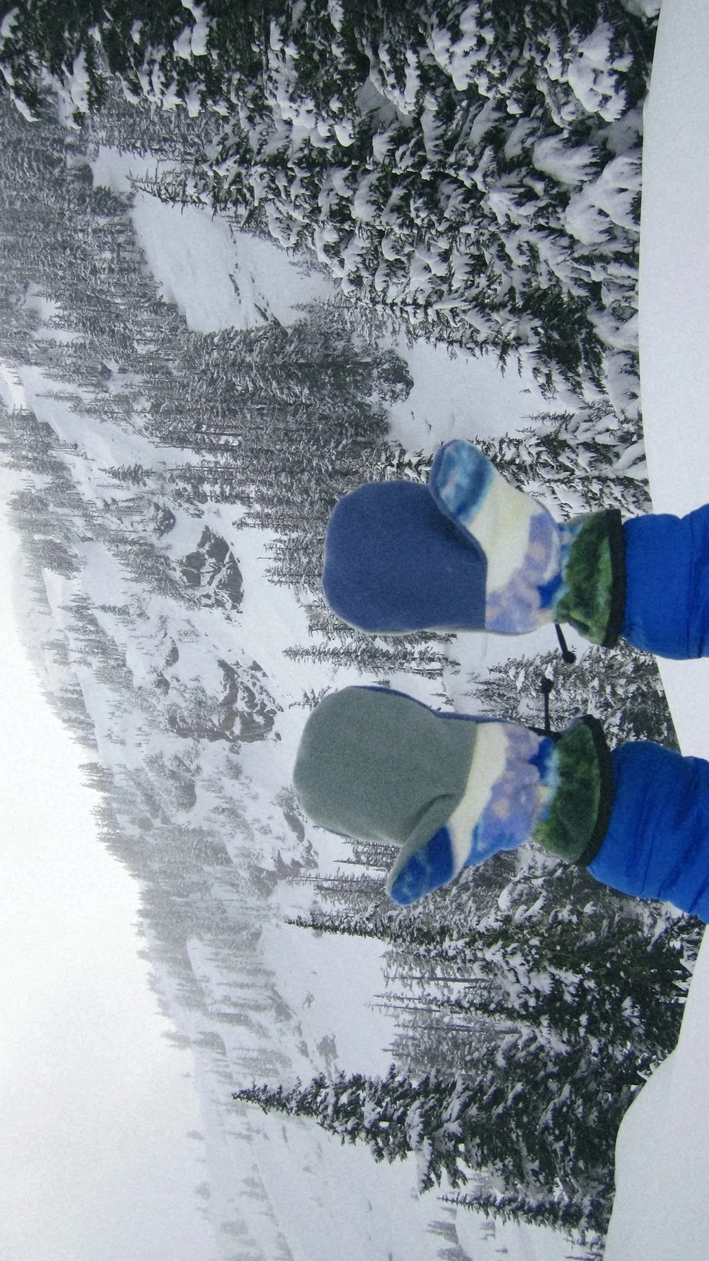 Tezza_2026_03_15_093426538+%281%29.jpg