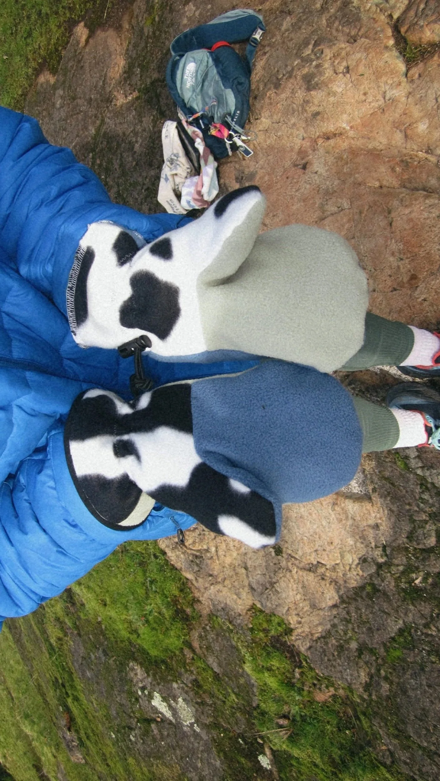 Tezza_2026_02_12_223530418.jpg