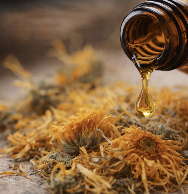 Screenshot 2026-02-20 at 6.46.05 PM.png