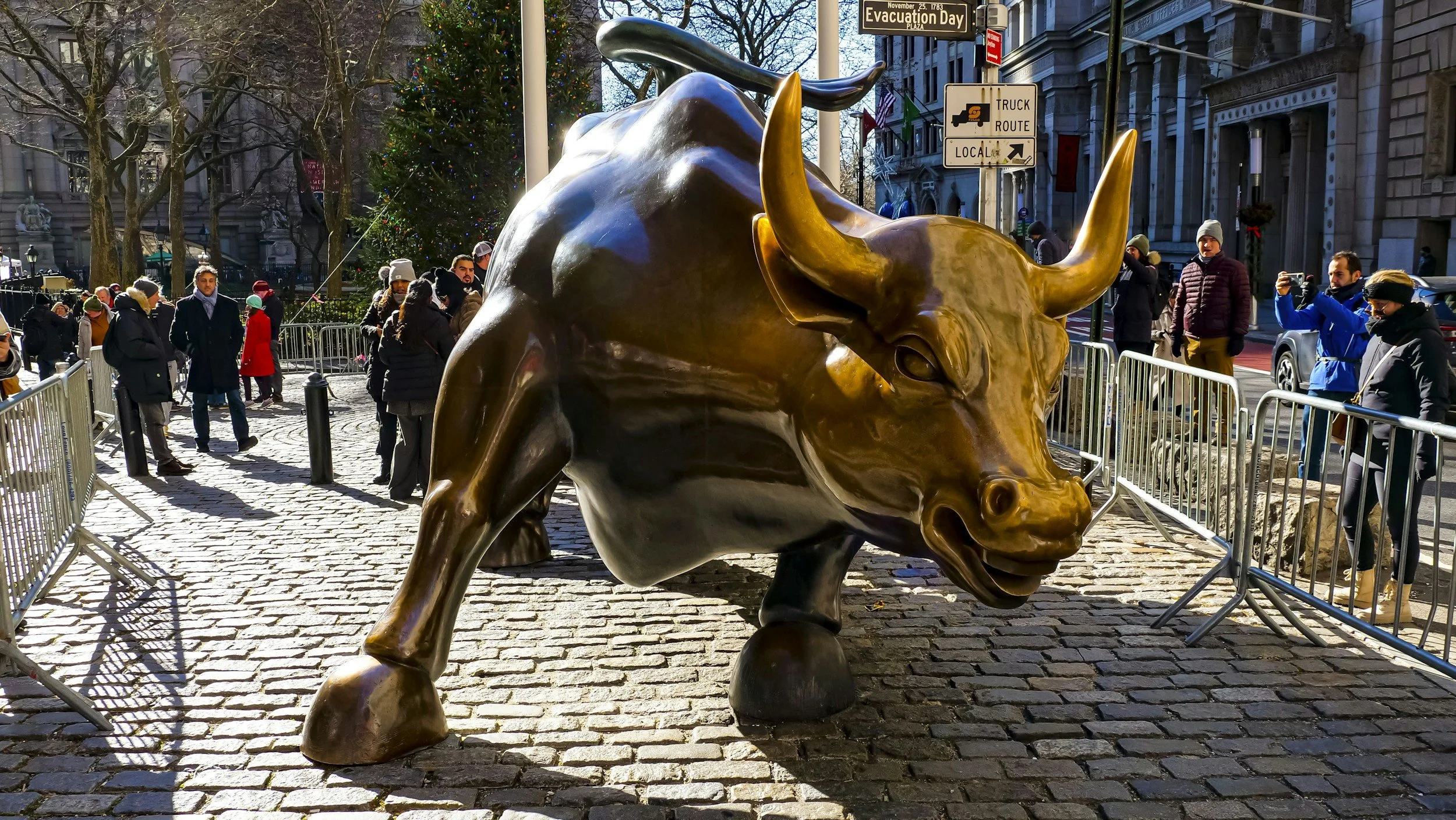 Large bronze bull statue on a cobblestone street, surrounded by people and barricades, with a decorated Christmas tree in the background.