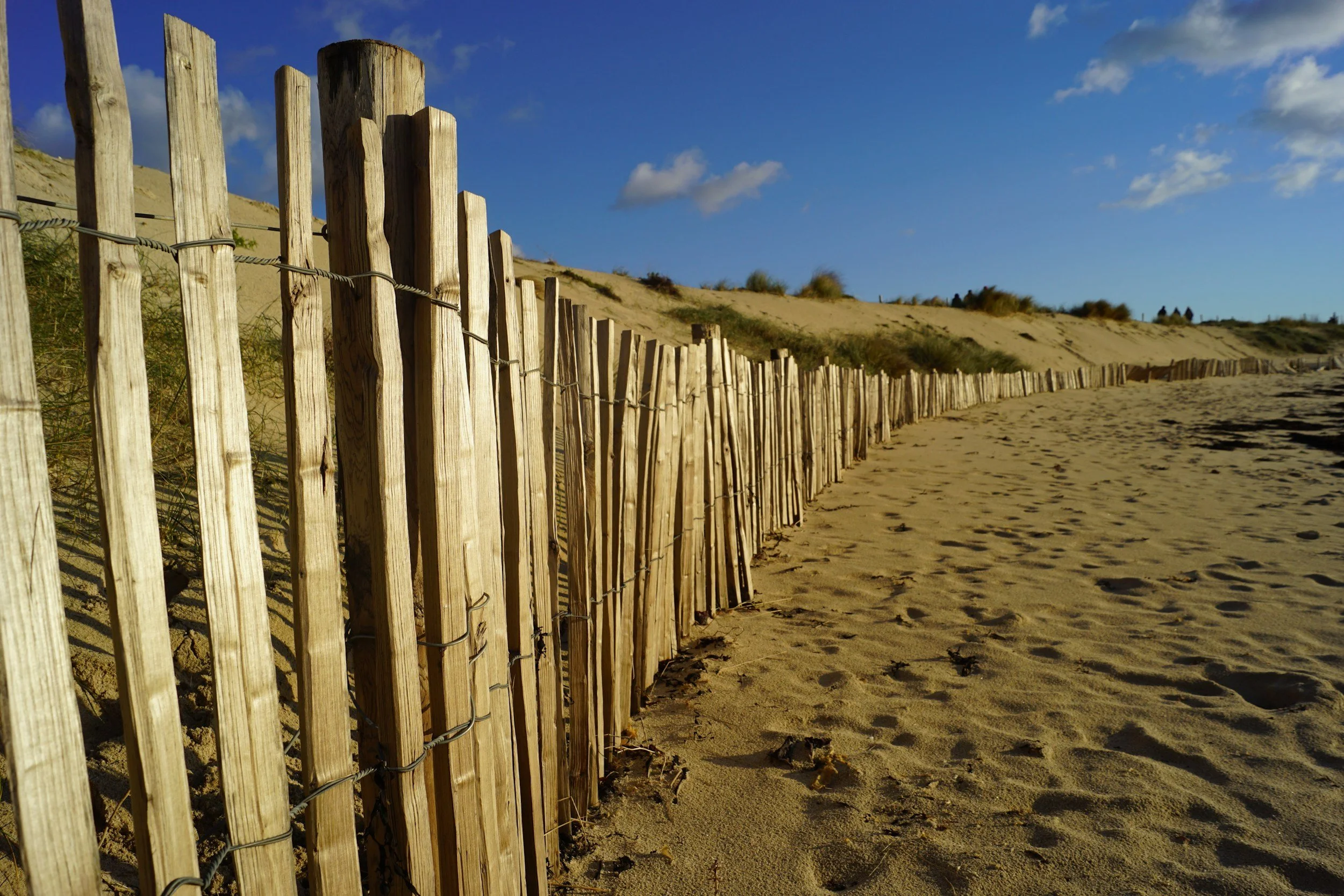 Wooden fence along sandy beach with sand dunes and grass, under blue sky with clouds.