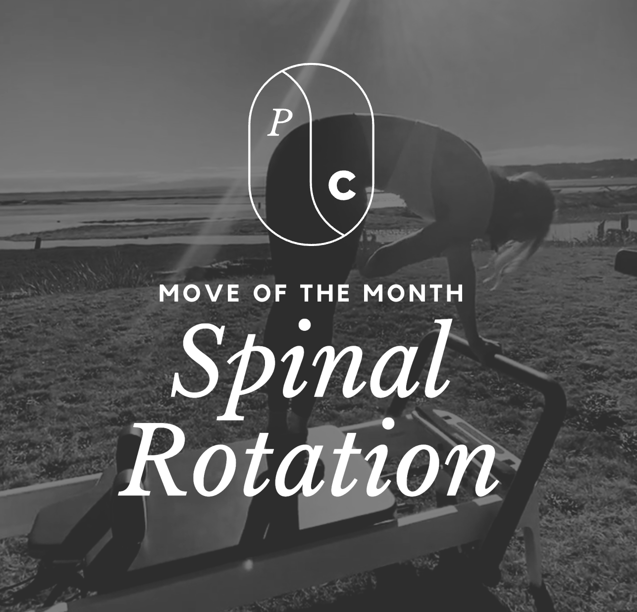 january m.o.t.m. = Spinal rotation