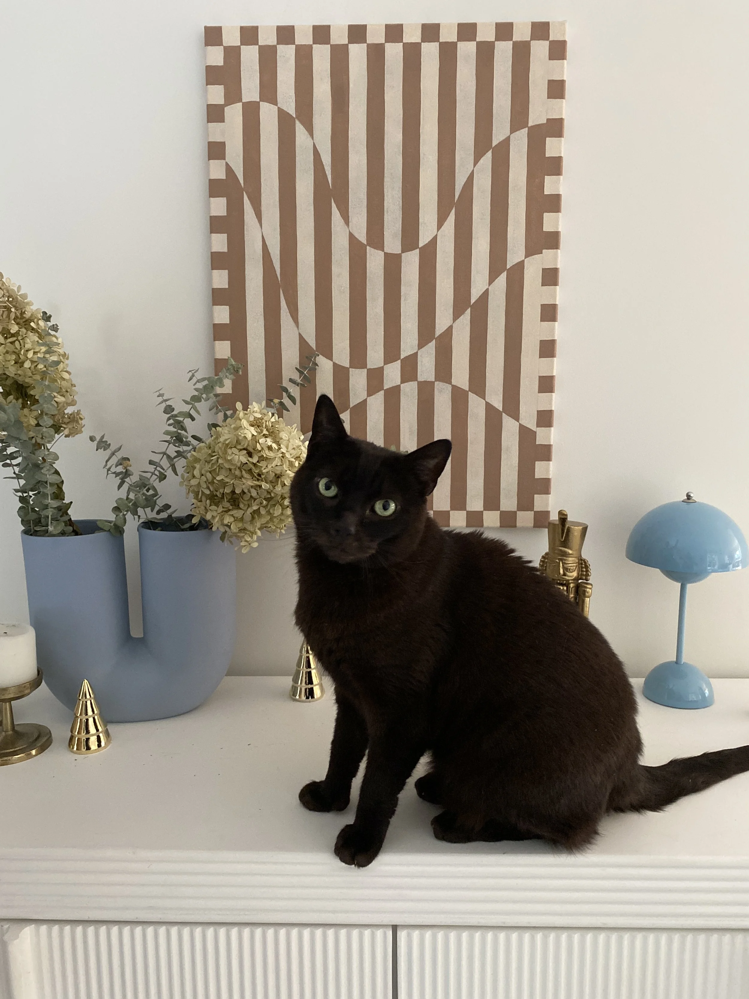 IMG_9317 - Kyla Stelling.JPG