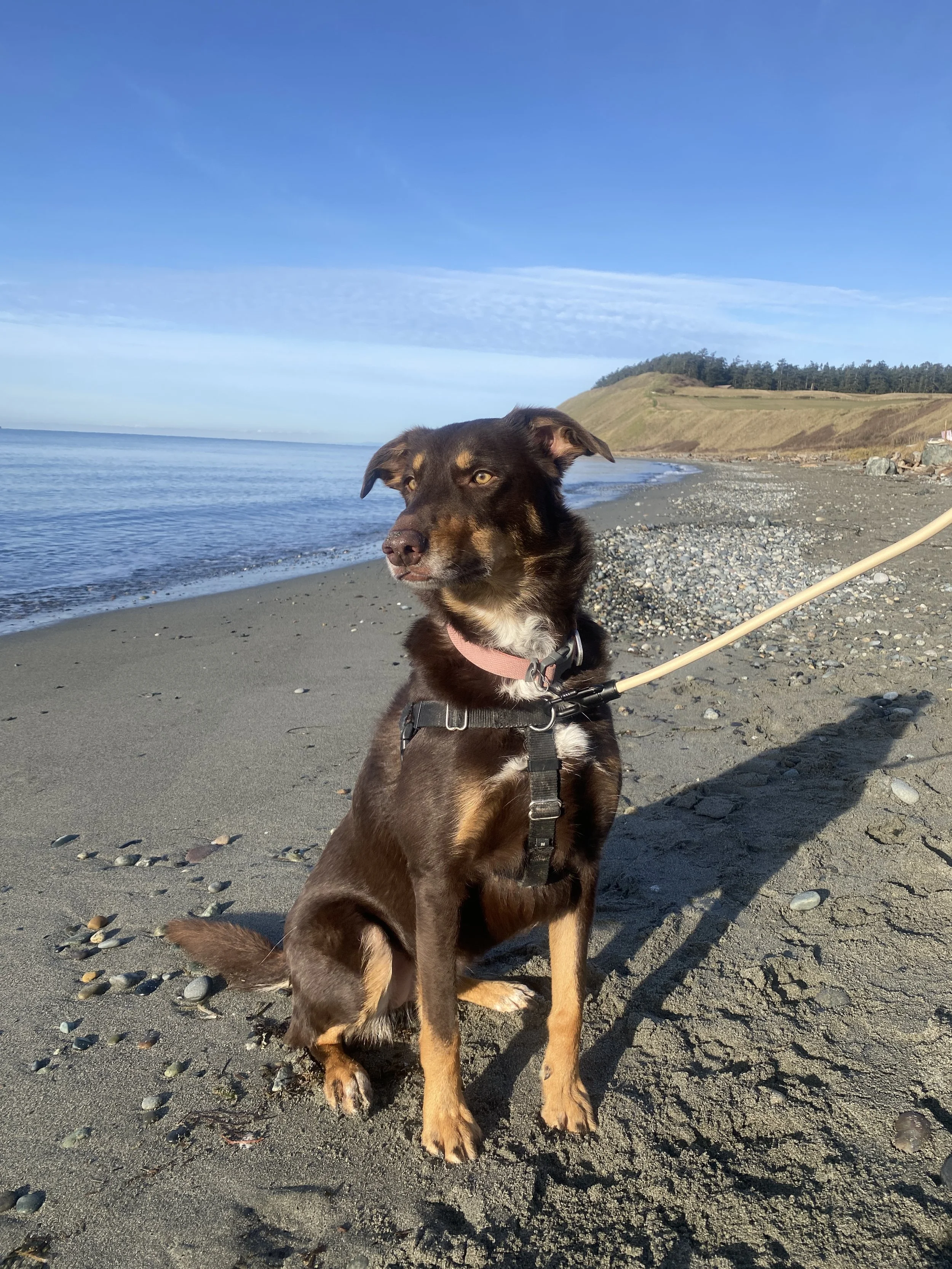 IMG_7987 - Kyla Stelling.JPG