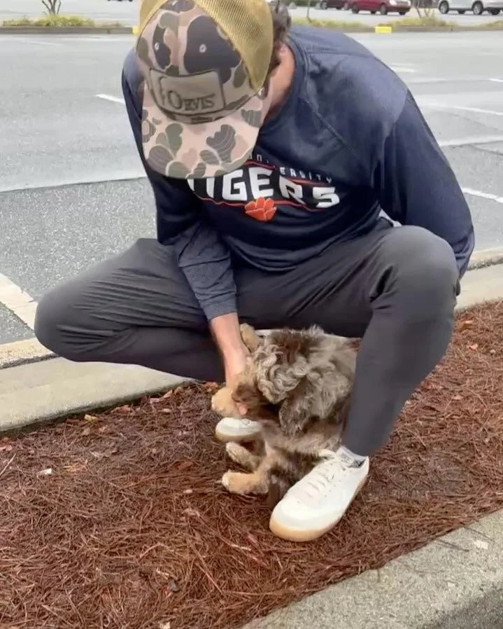 Cosmo&rsquo;s send-off day today for us, but his Gotcha Day with his new family. Our sadness at parting was instantly chased away by seeing him loved on by his new dad and grandparents. We wish you all the best on your brand new exciting and very lov