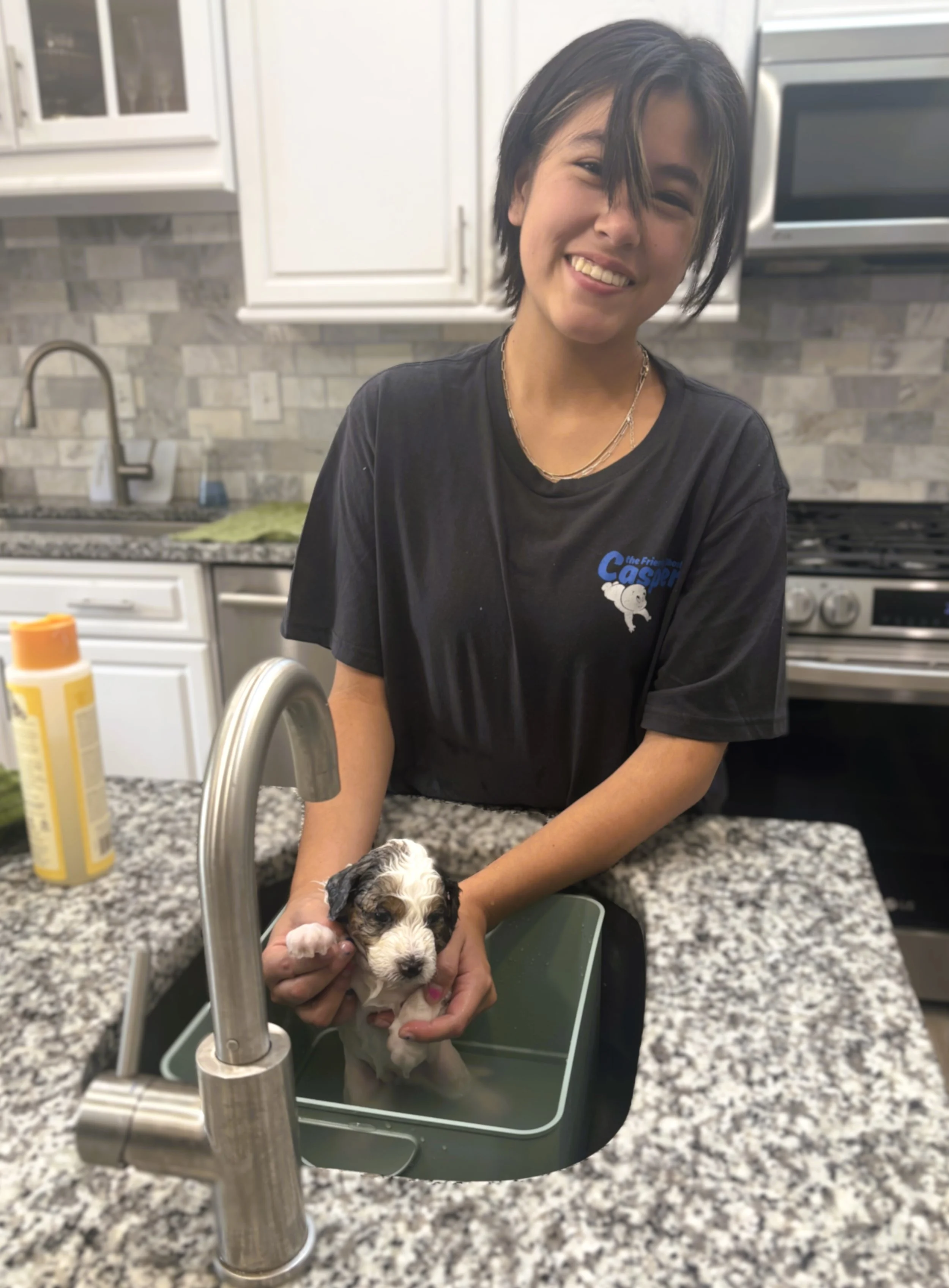 Team member Sofia to mini aussiedoodle puppies..