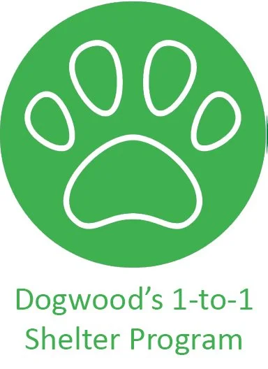Mini Aussiedoodle puppies for sale in Georgia, offering blue merle, red merle, black phantom and tri color. Select puppies available for guardian families. Supporting local shelter through 1 to 1 program.