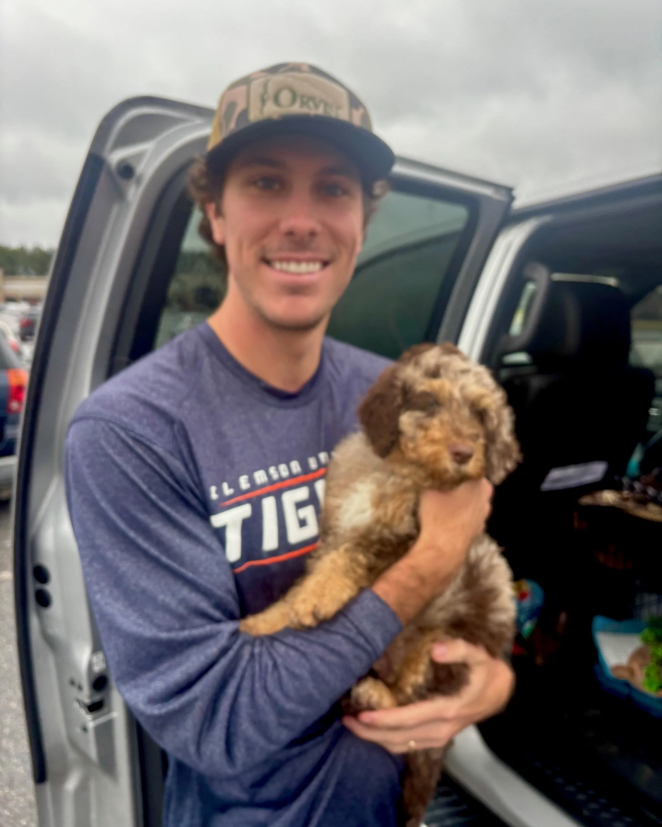 A newly adopted red merle mini aussiedoodle puppy.