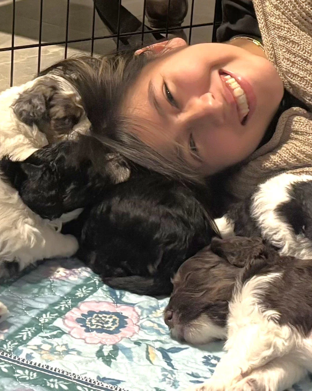 Team member Sofia with mini aussiedoodle puppies.