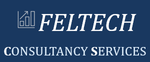     FELTECH CONSULTANCY SERVICES