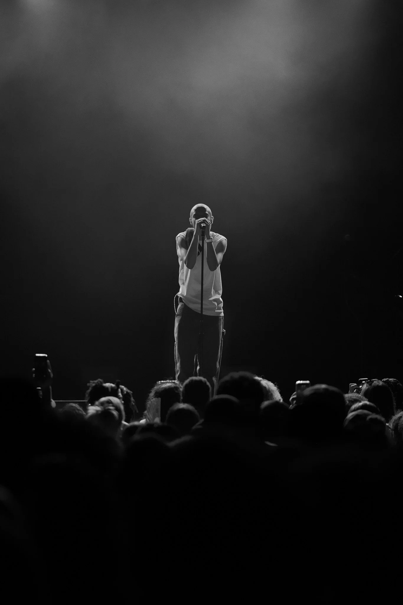 Syd BEARD EURO TOUR 26'
