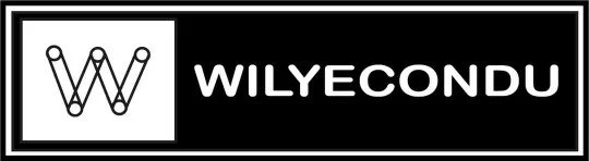 WILYECONDU CONSULTORÍA ESTRATÉGICA PARA INSTITUCIONES EDUCATIVAS