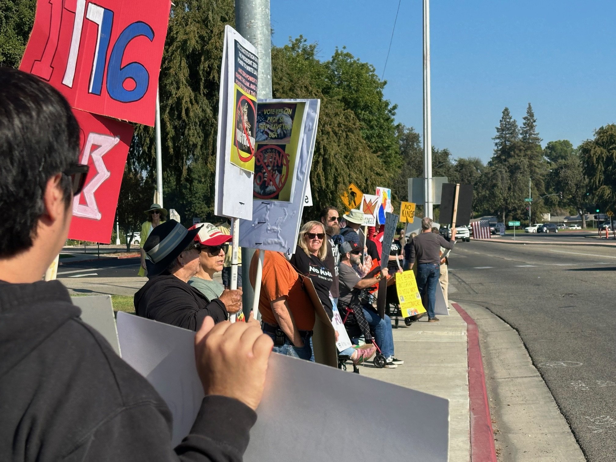 A line of protesters holding various signs and placards on a sidewalk during a demonstration. The crowd includes individuals wearing hats and sunglasses, with some signs displaying messages, protests, and symbols, against a backdrop of trees and a st