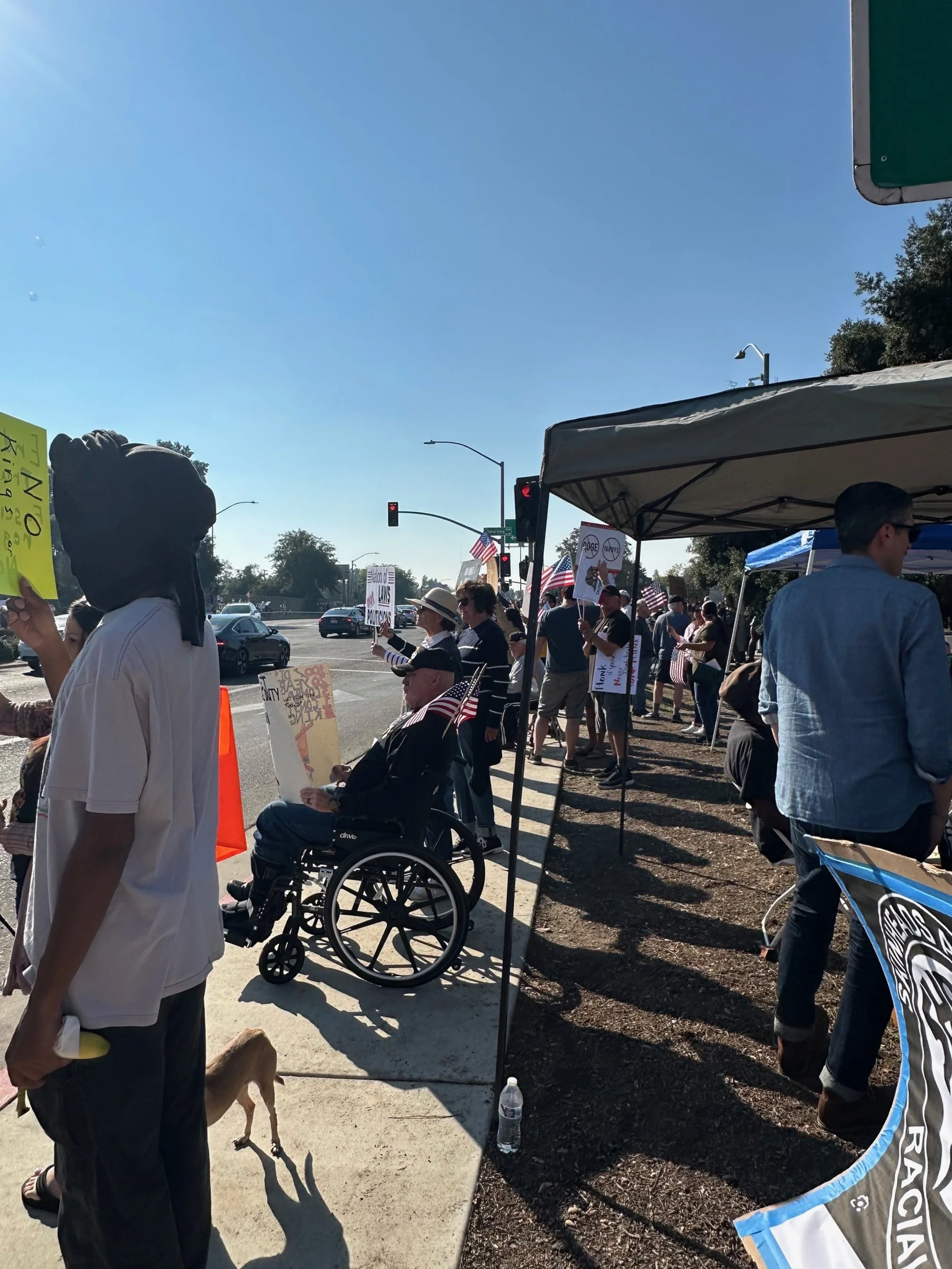 People protesting at a street corner holding signs and American flags, some wearing hats, with a traffic signal and parked cars in the background.