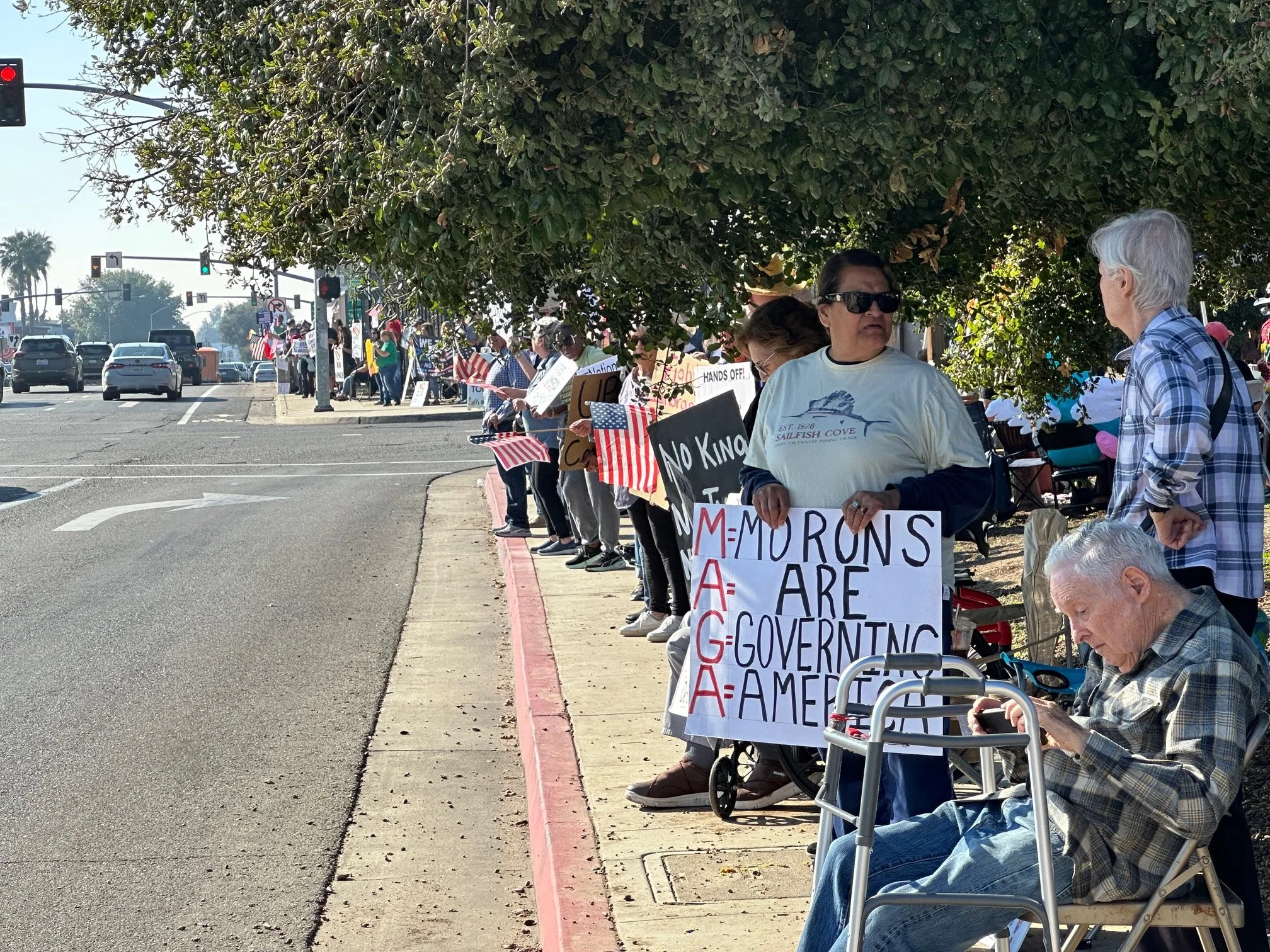People standing and sitting on the sidewalk holding signs and flags at a protest or rally. One sign reads 'M=Morons A=Are G=Governing A=America.' Others display American flags and messages opposing a king or monarchy. The scene is under a large tree 
