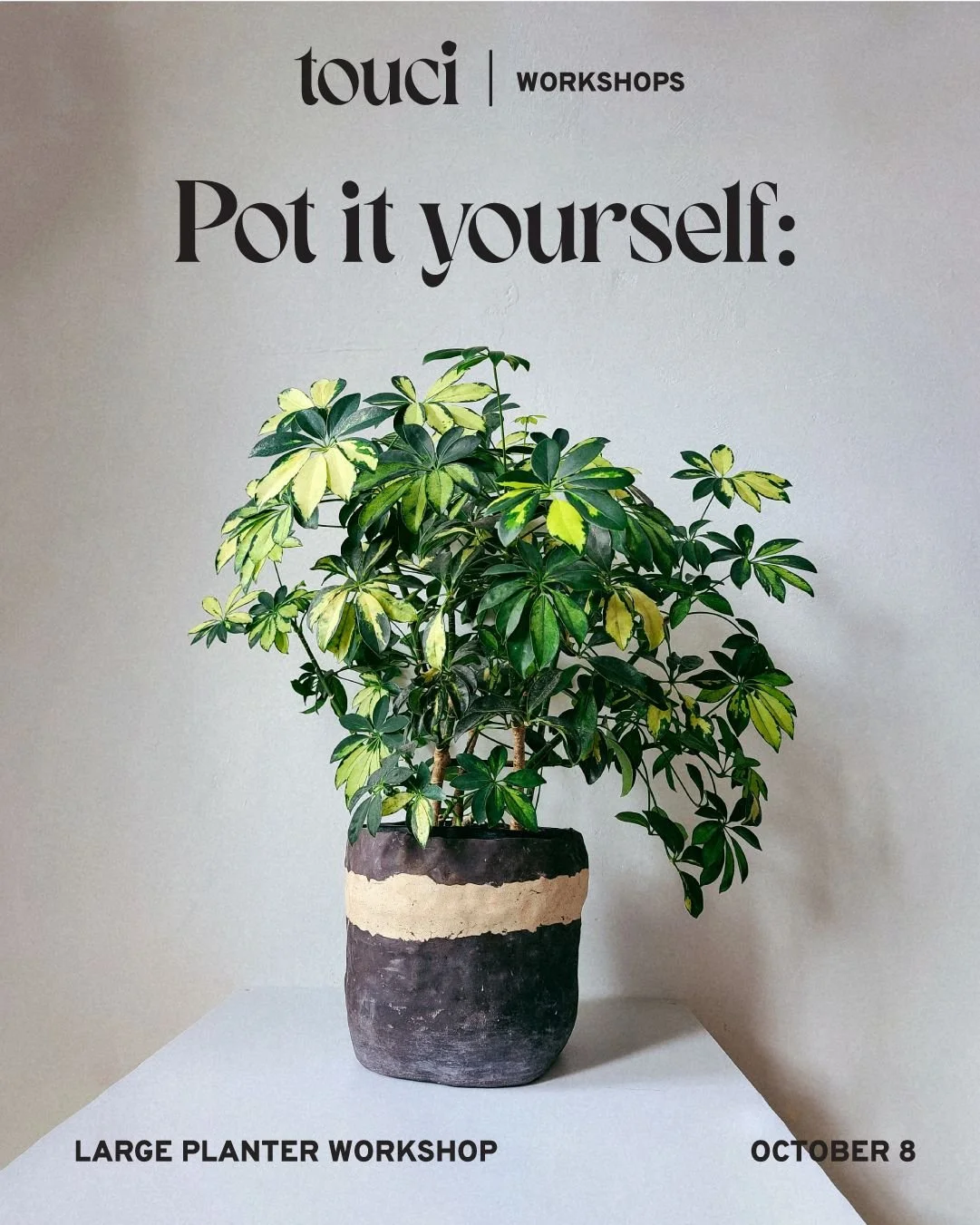 Planter Hand Building Workshop for Your Big Plant Baby