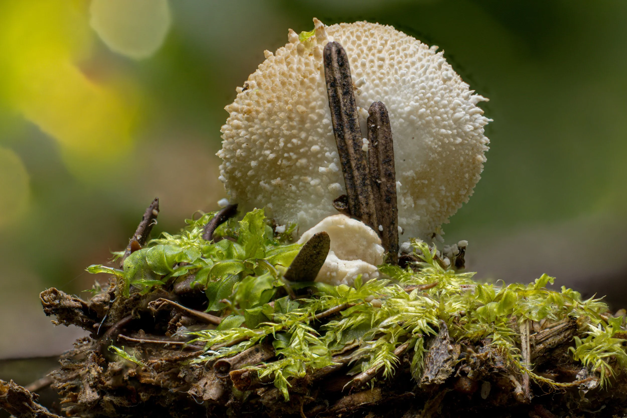 2025-09-01 13-00-25 (B,R5,S1).jpg