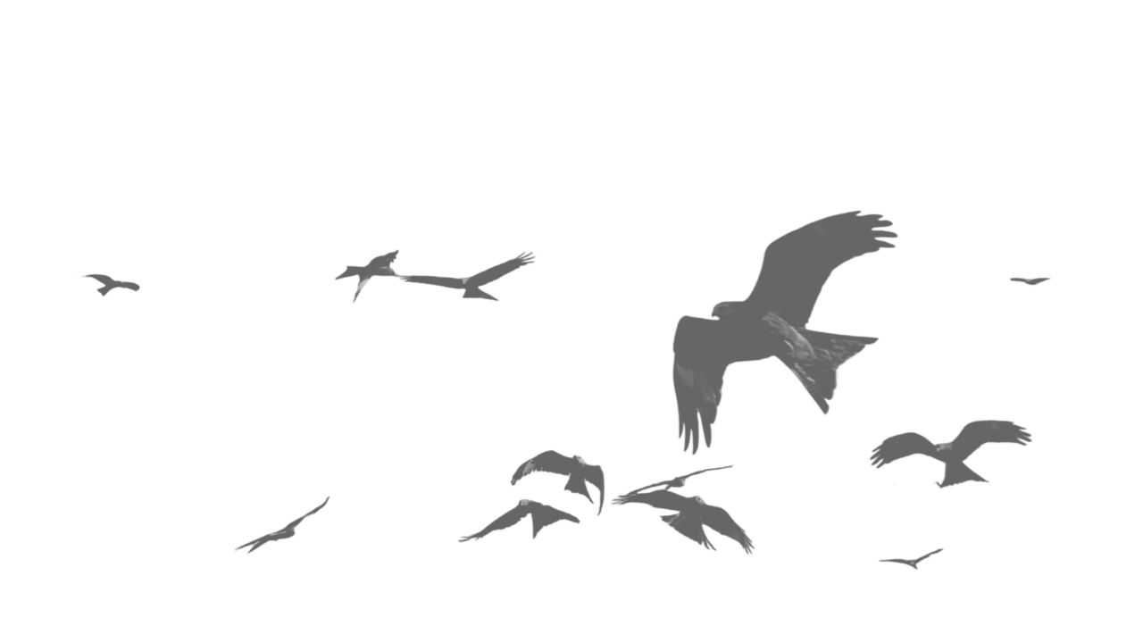 Public Finance and Budget Responsibility Act