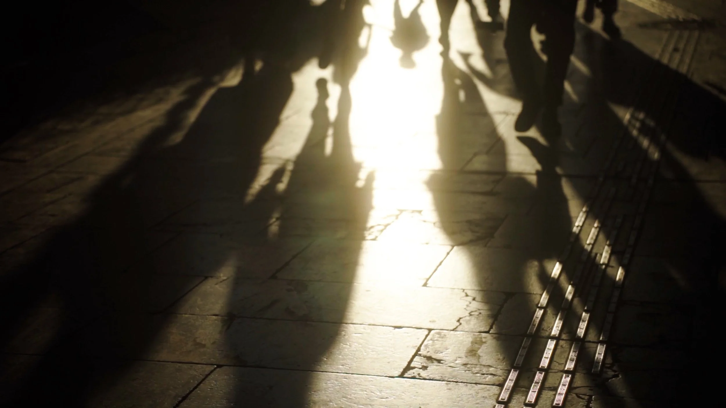 Public Service and Social Provision Act